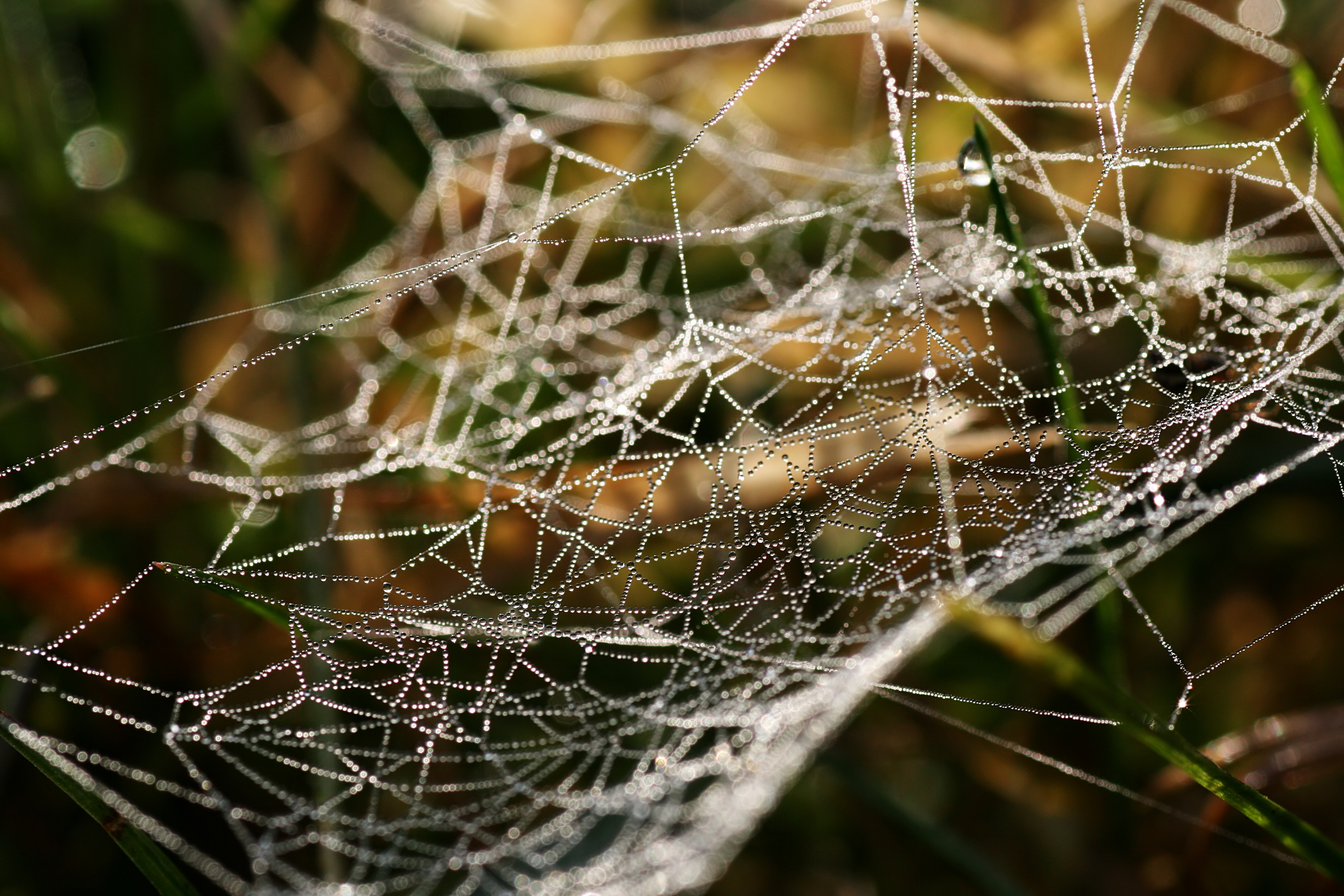 20111028101338.jpg