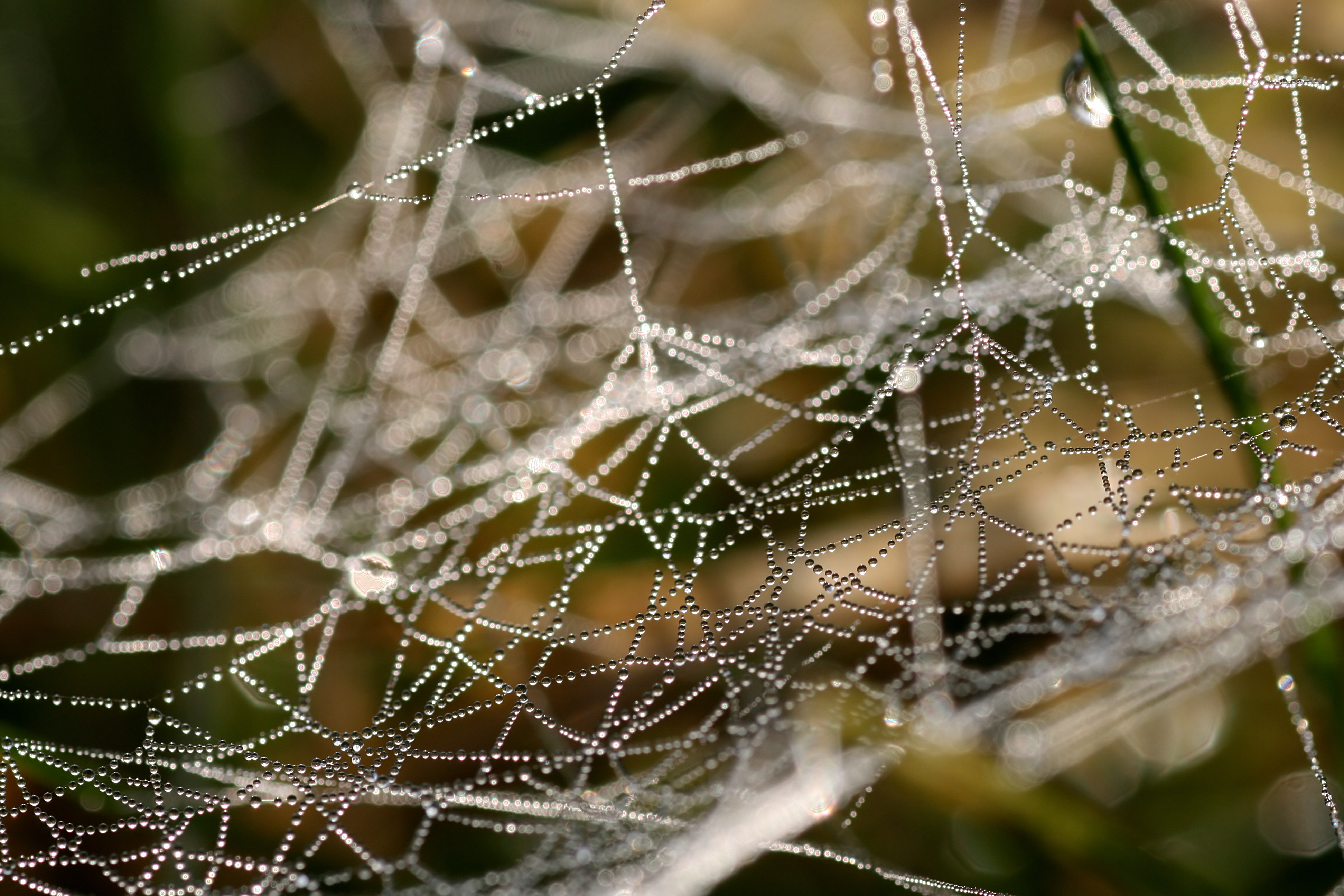20111028101409.jpg