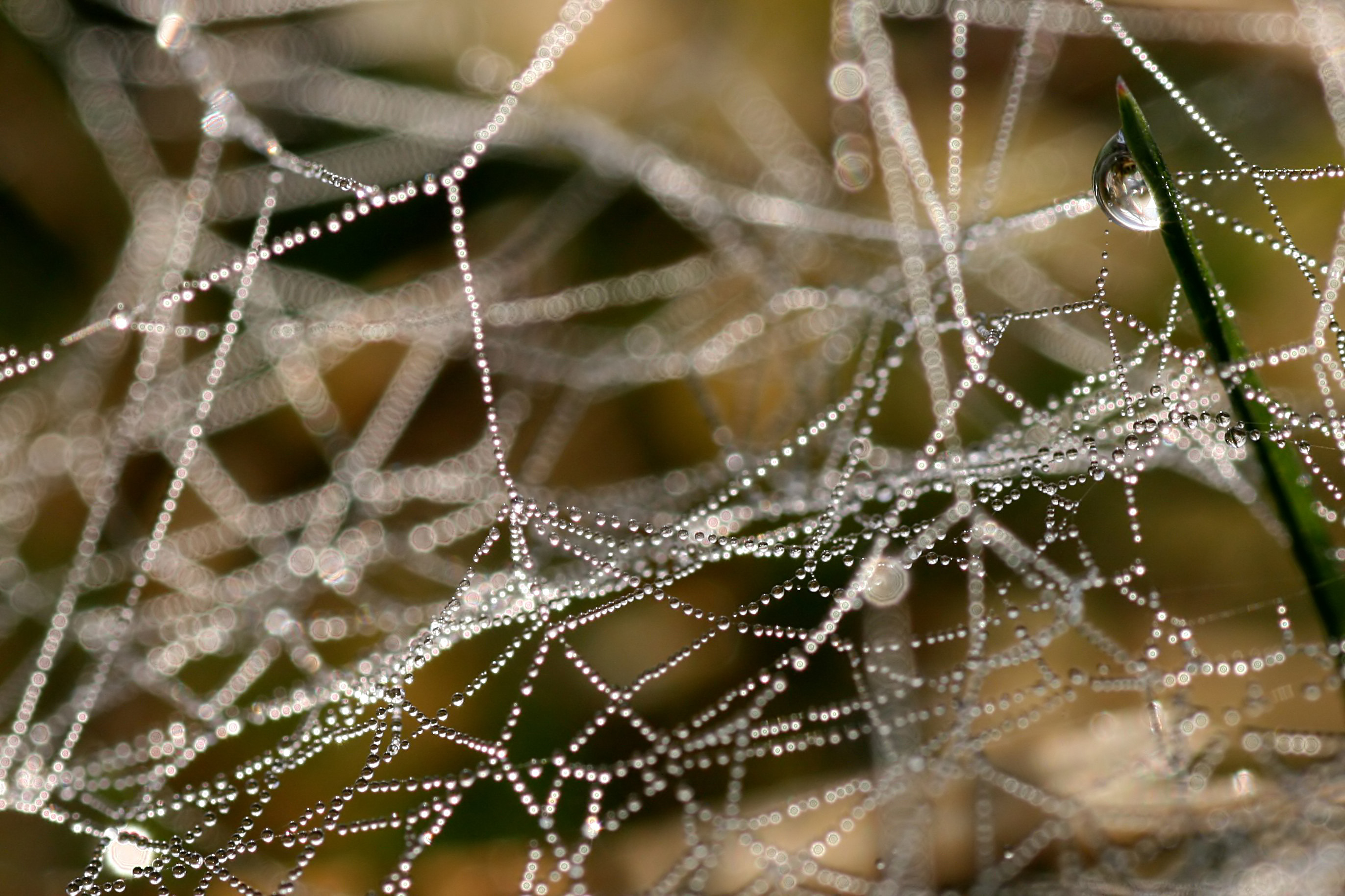 20111028101423.jpg