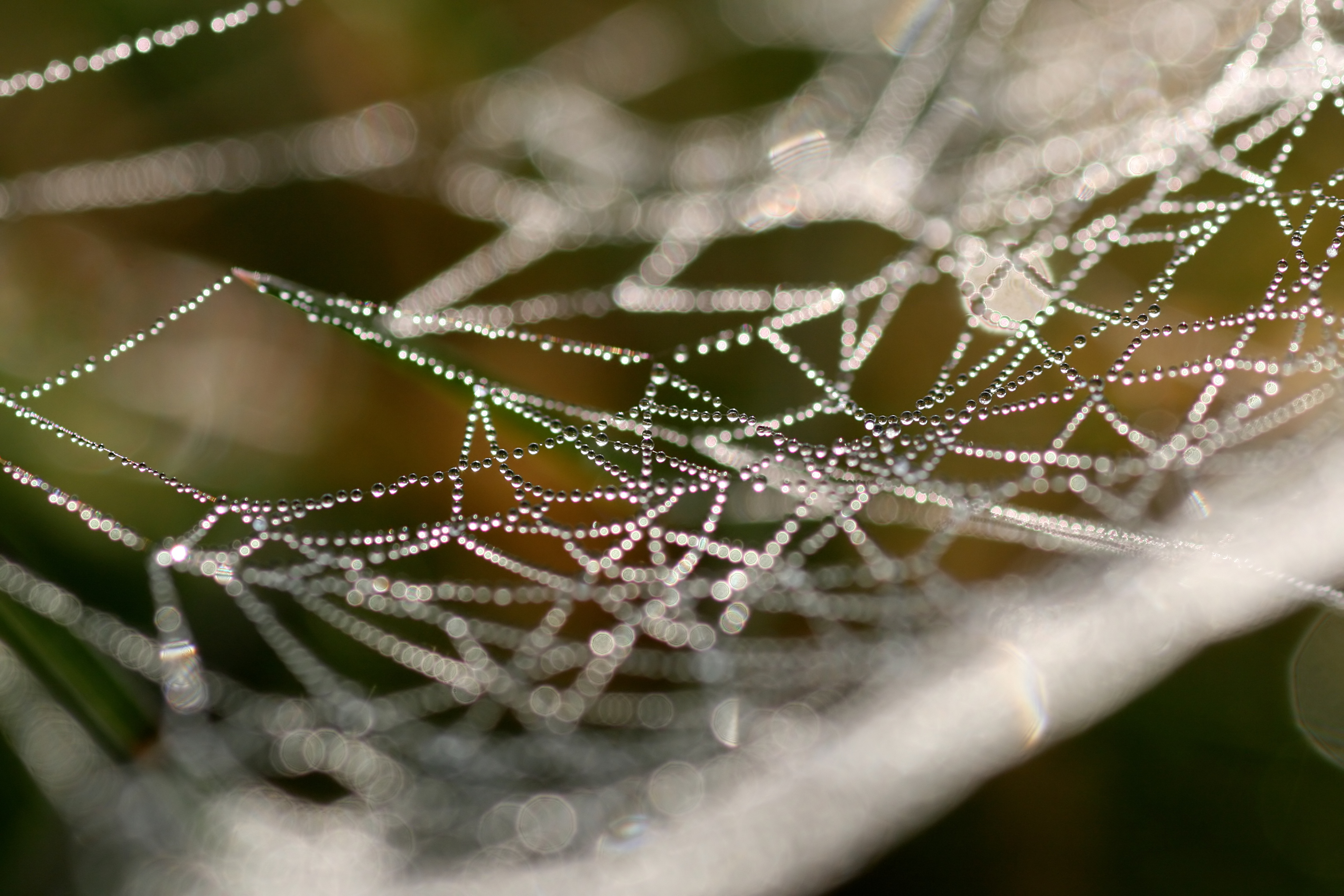 20111028101535.jpg