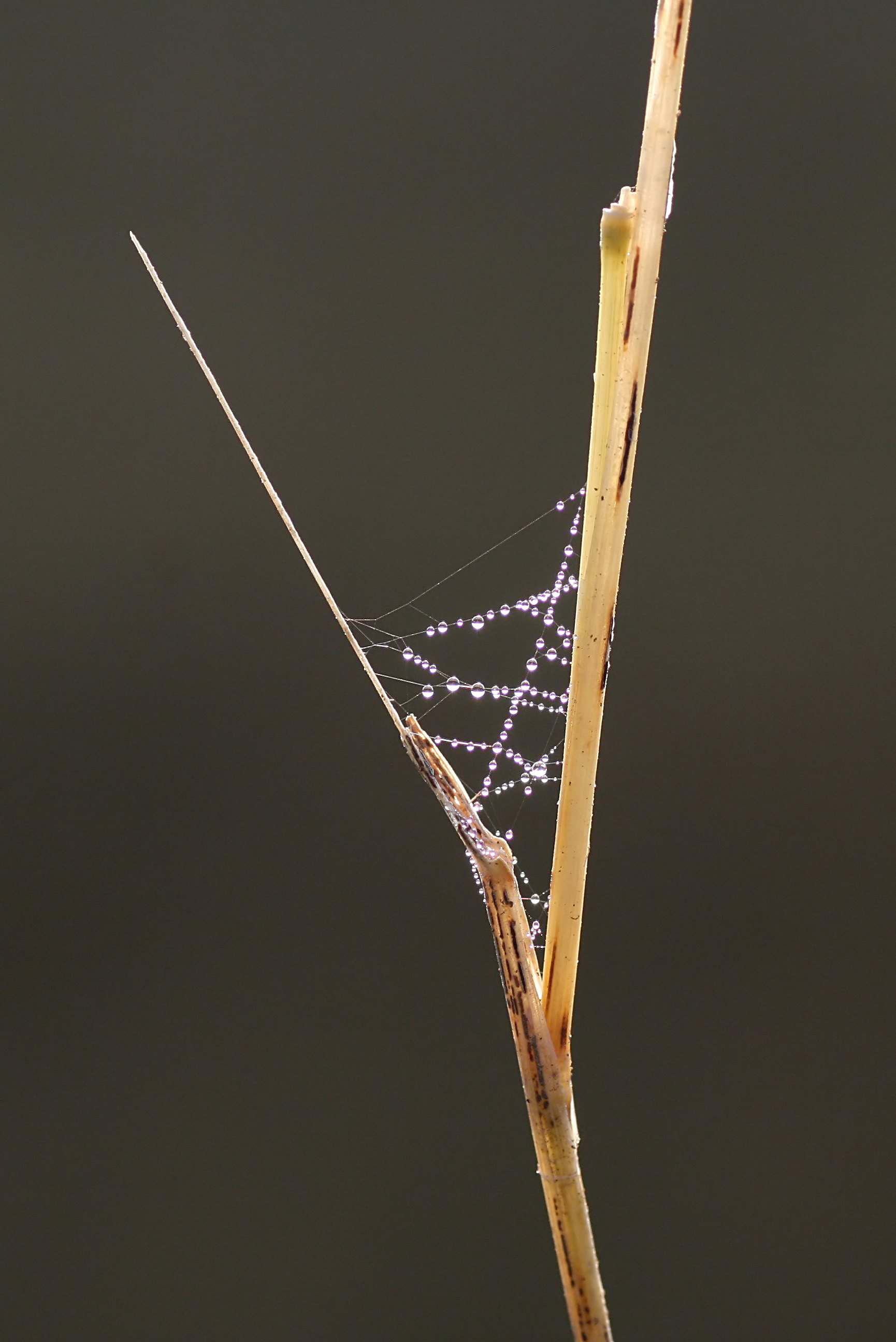 20111028101613.jpg