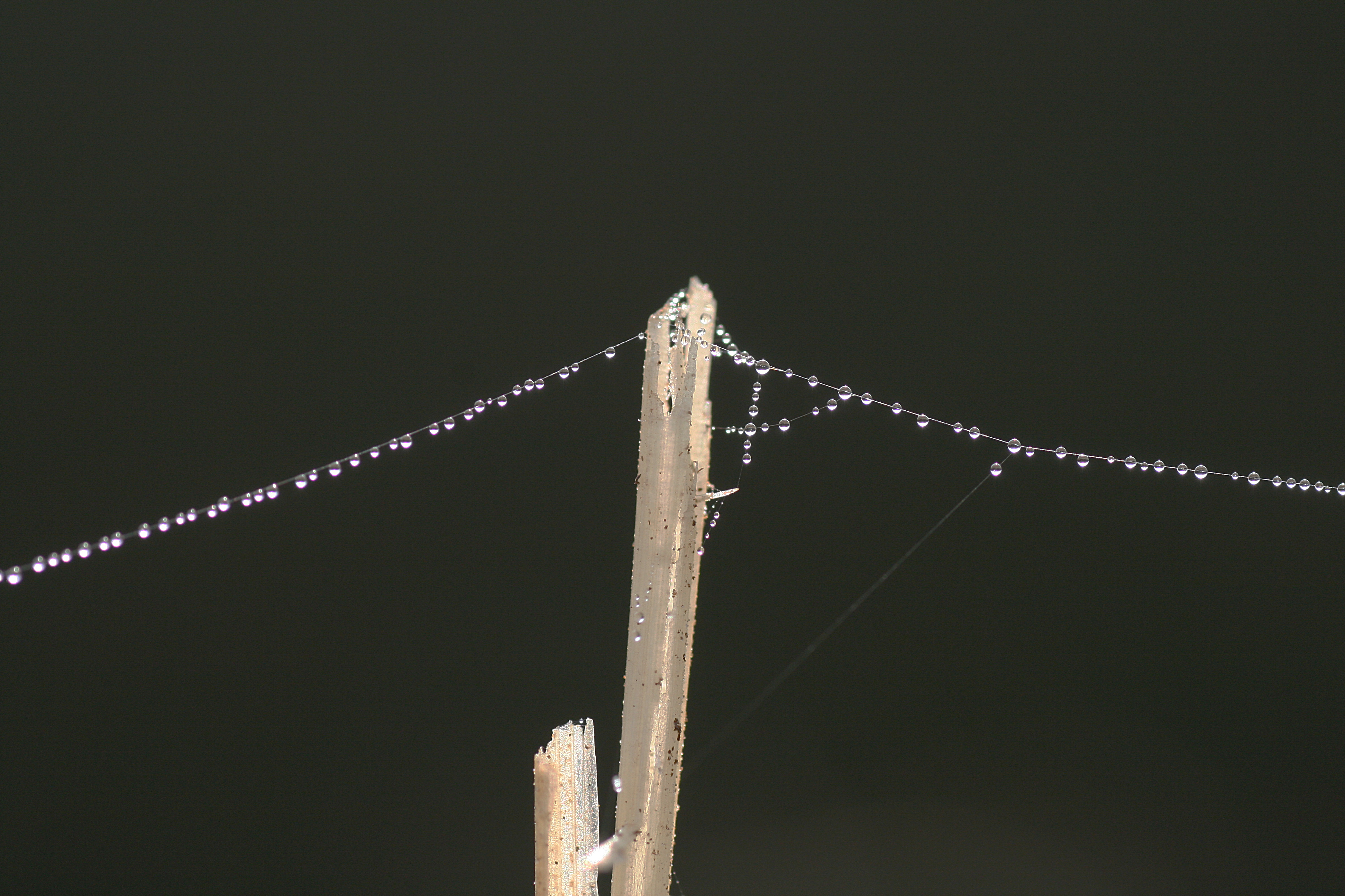20111028101654.jpg