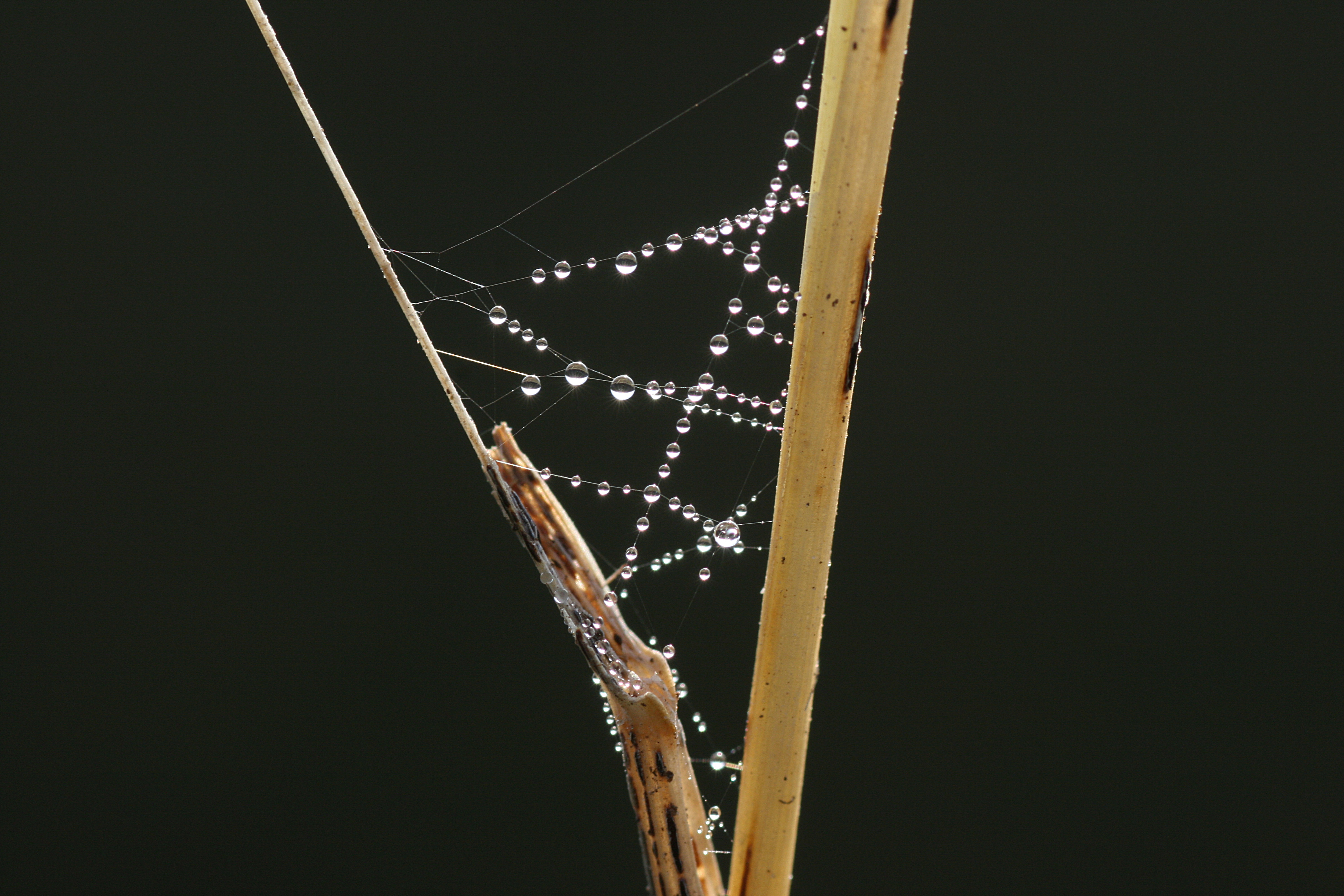 20111028101740.jpg