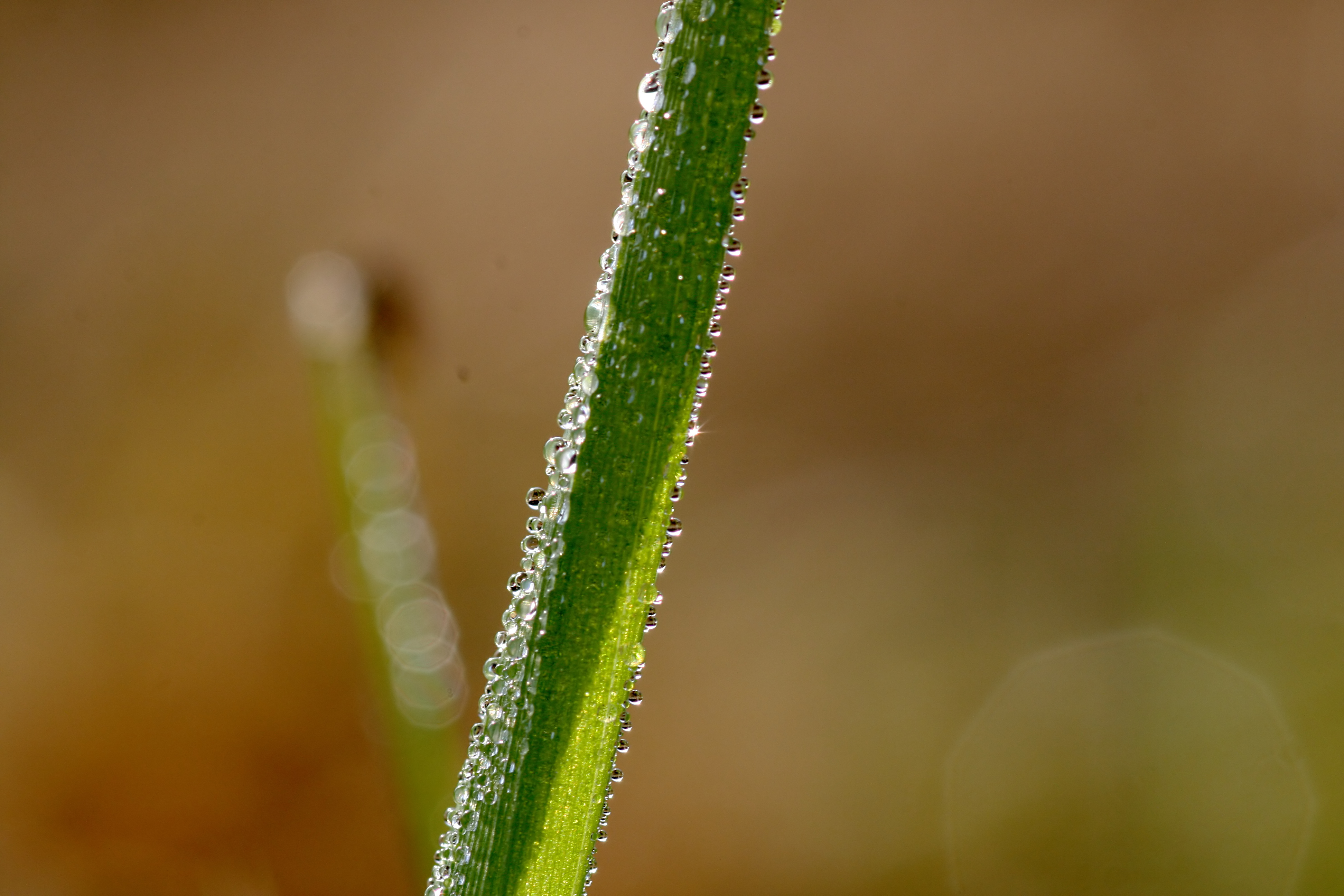 20111028101825.jpg