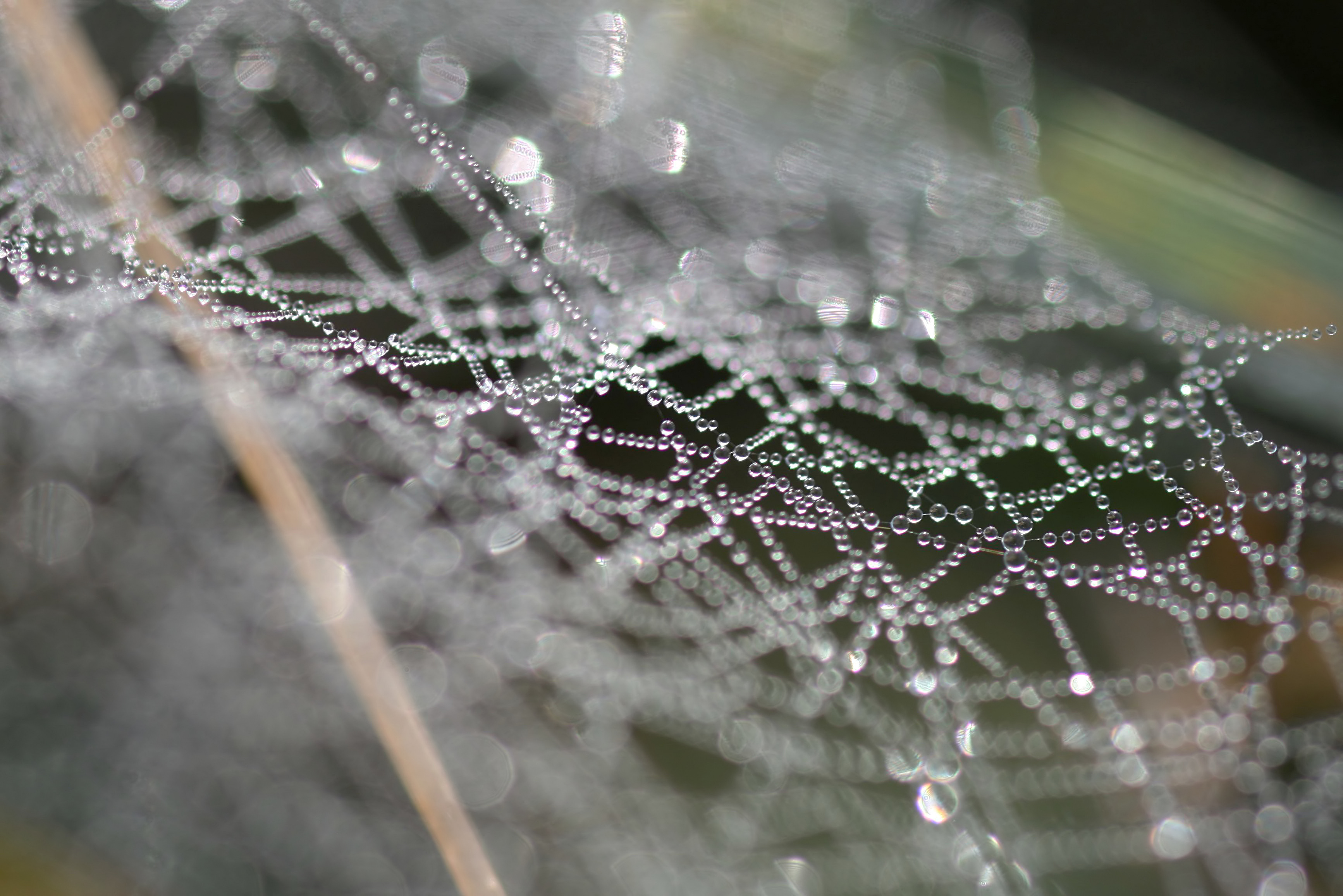 20111028102214.jpg