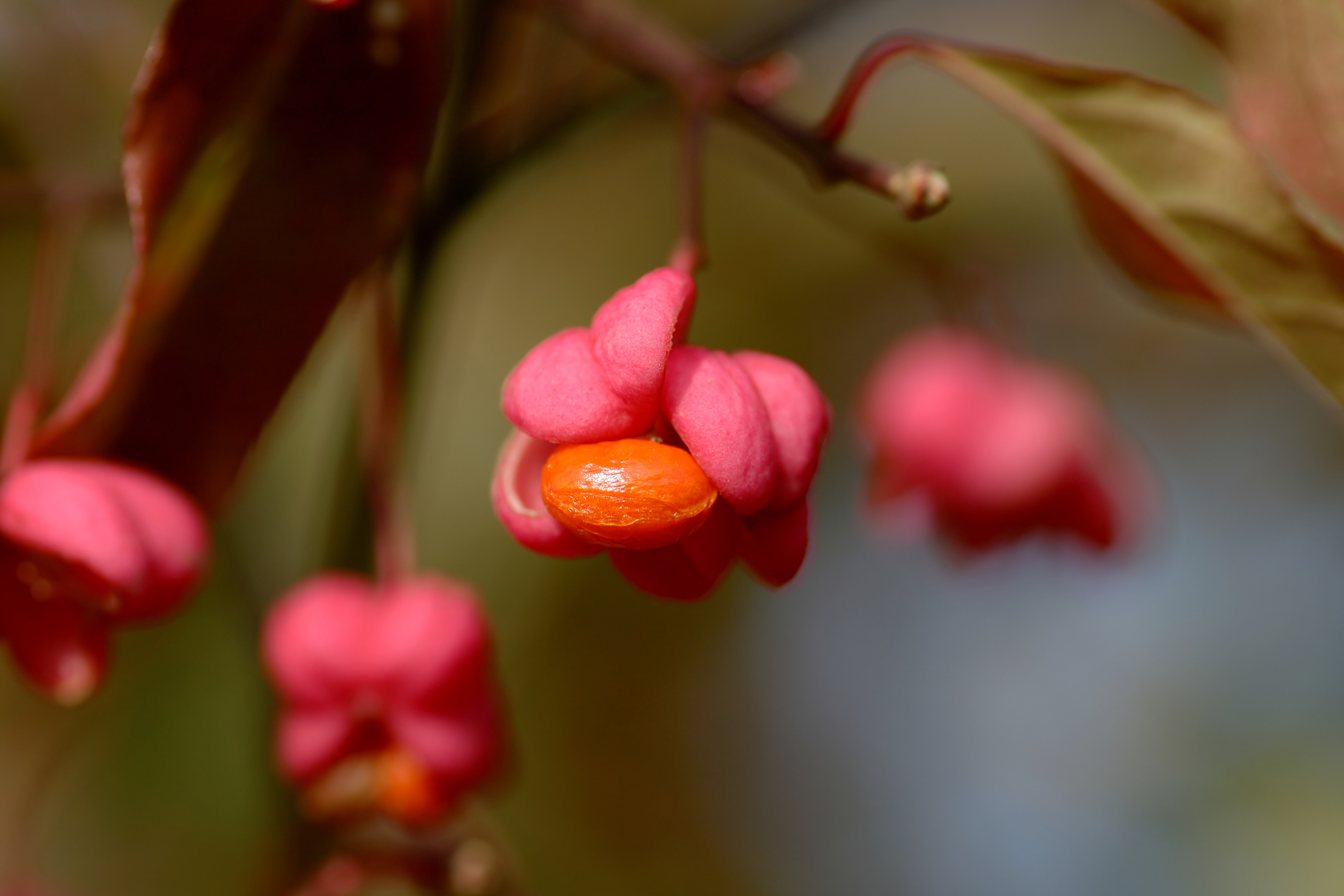 20111028102342.jpg