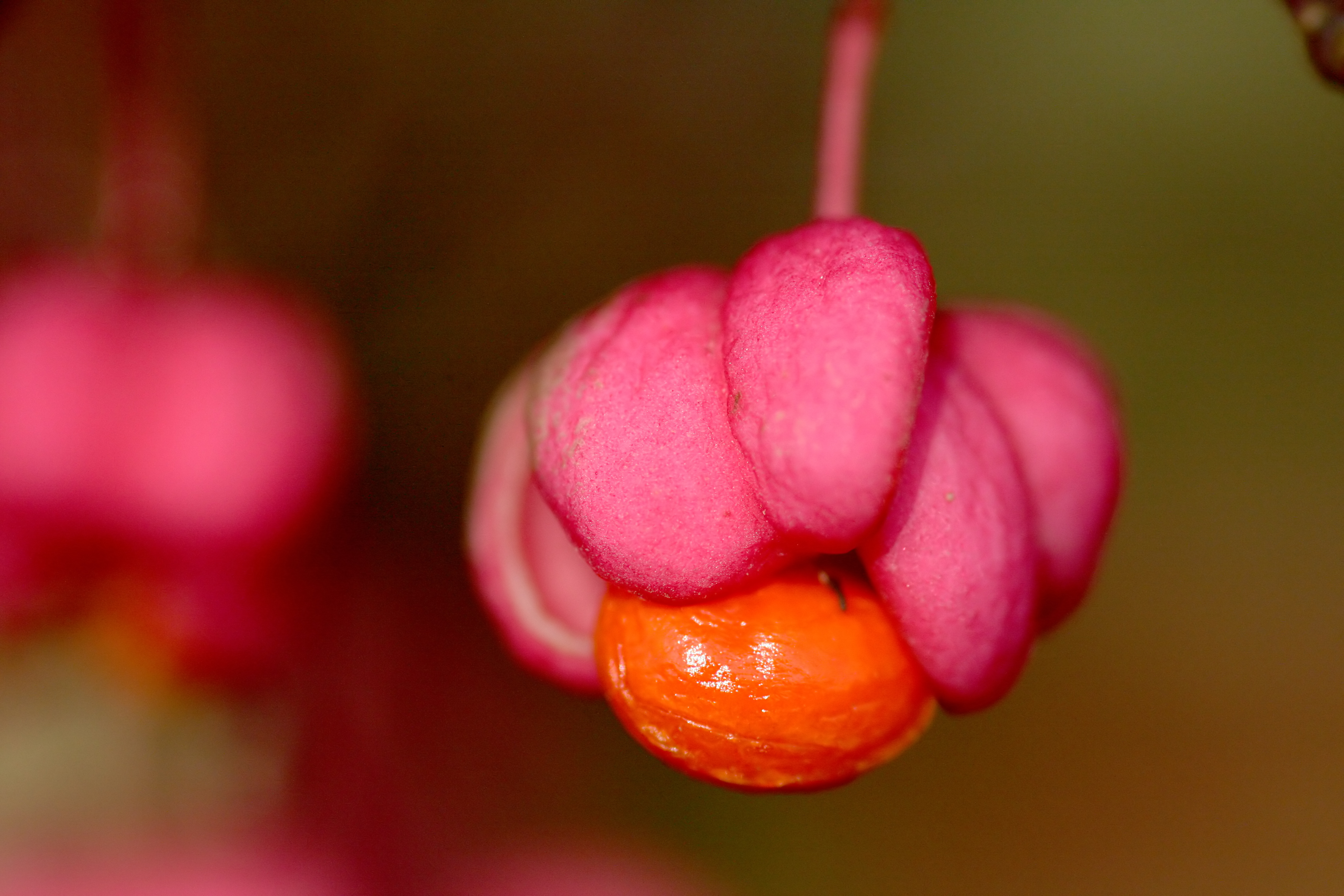 20111028102359.jpg