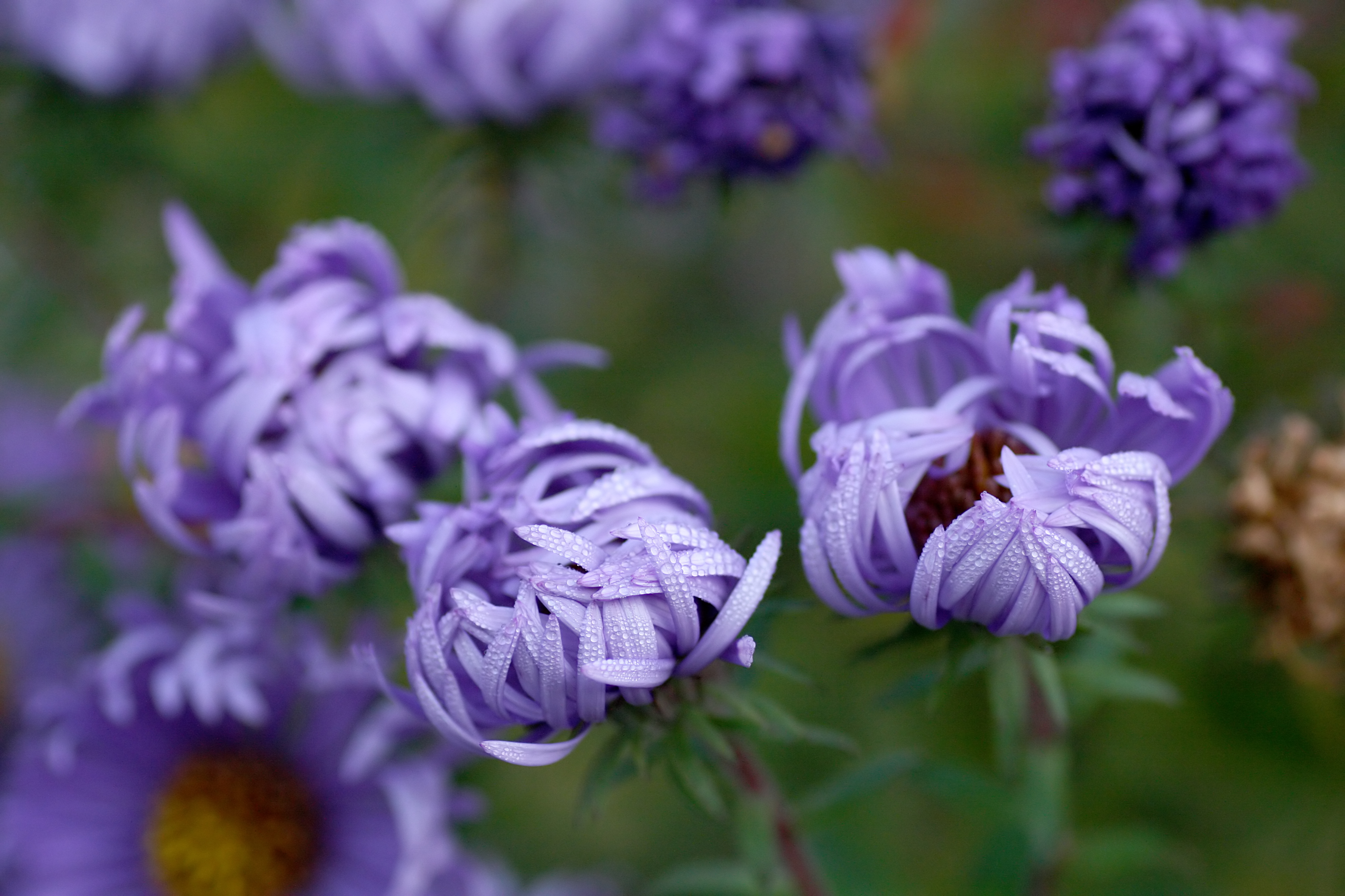 20111028103125.jpg