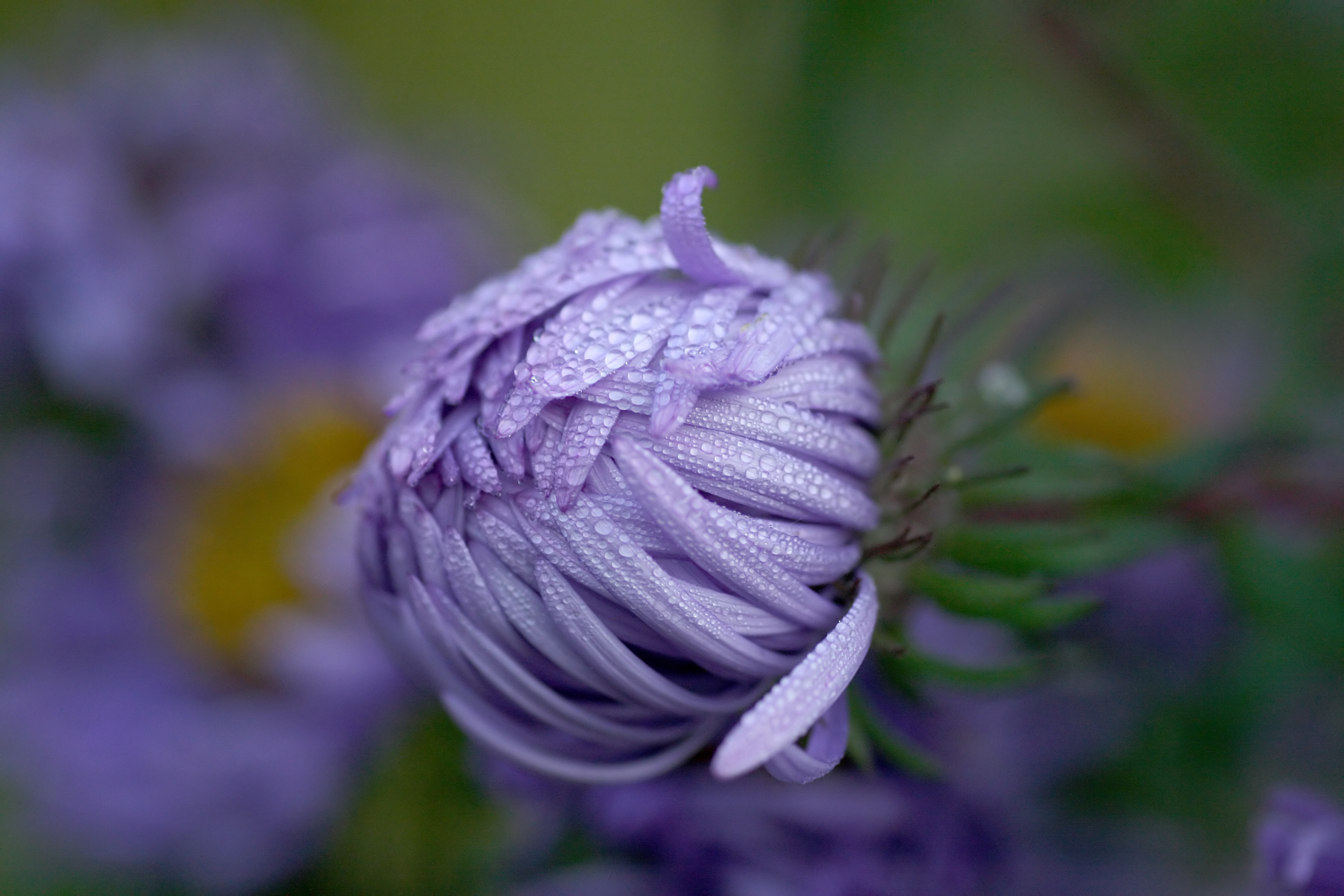 20111028103149.jpg