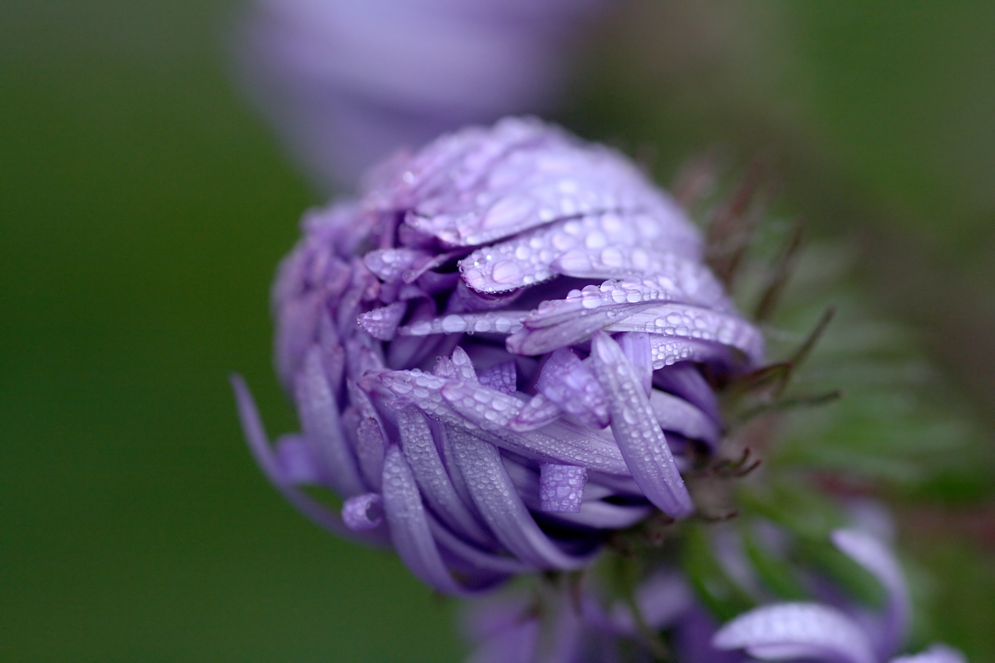 20111028103251.jpg