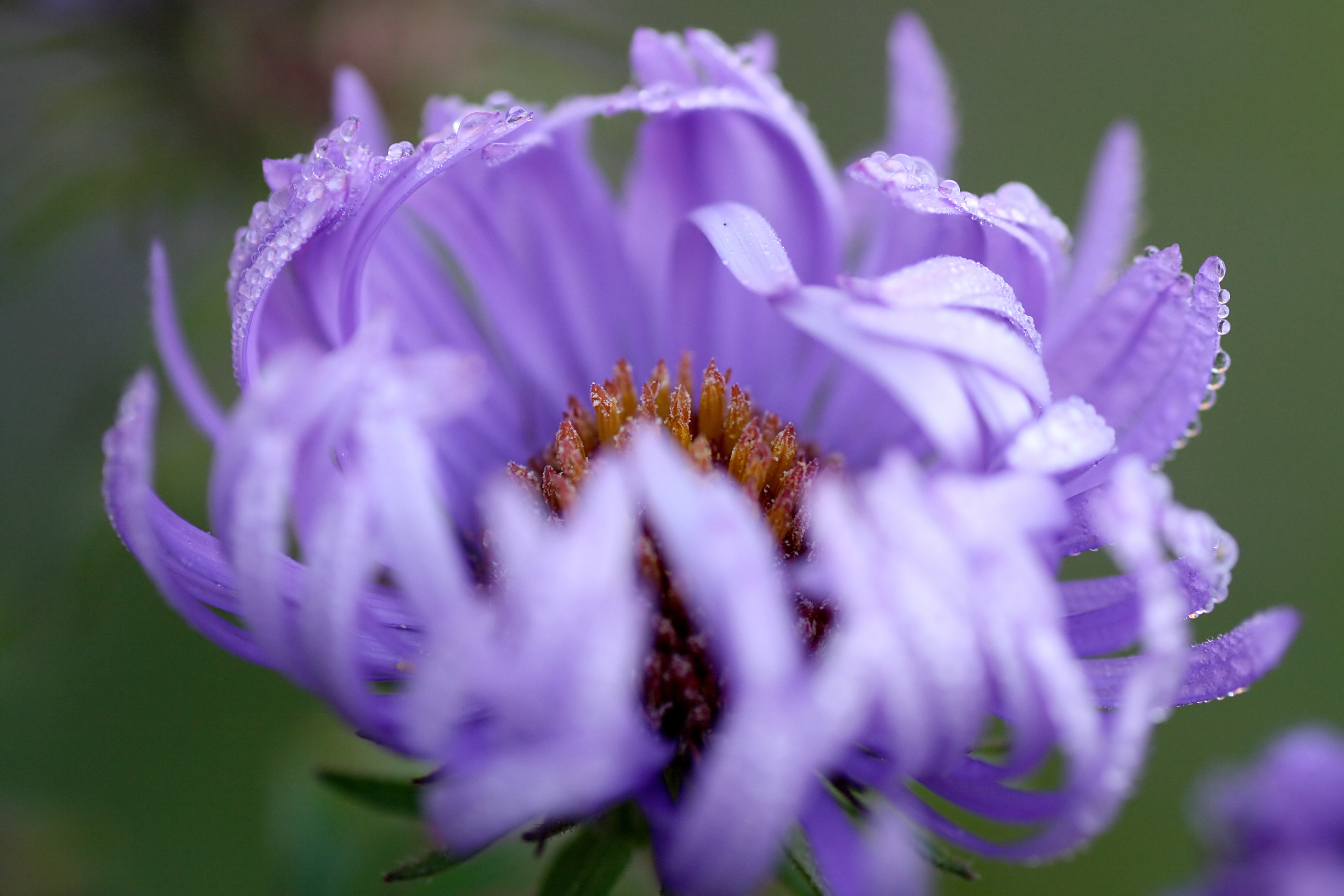 20111028103305.jpg