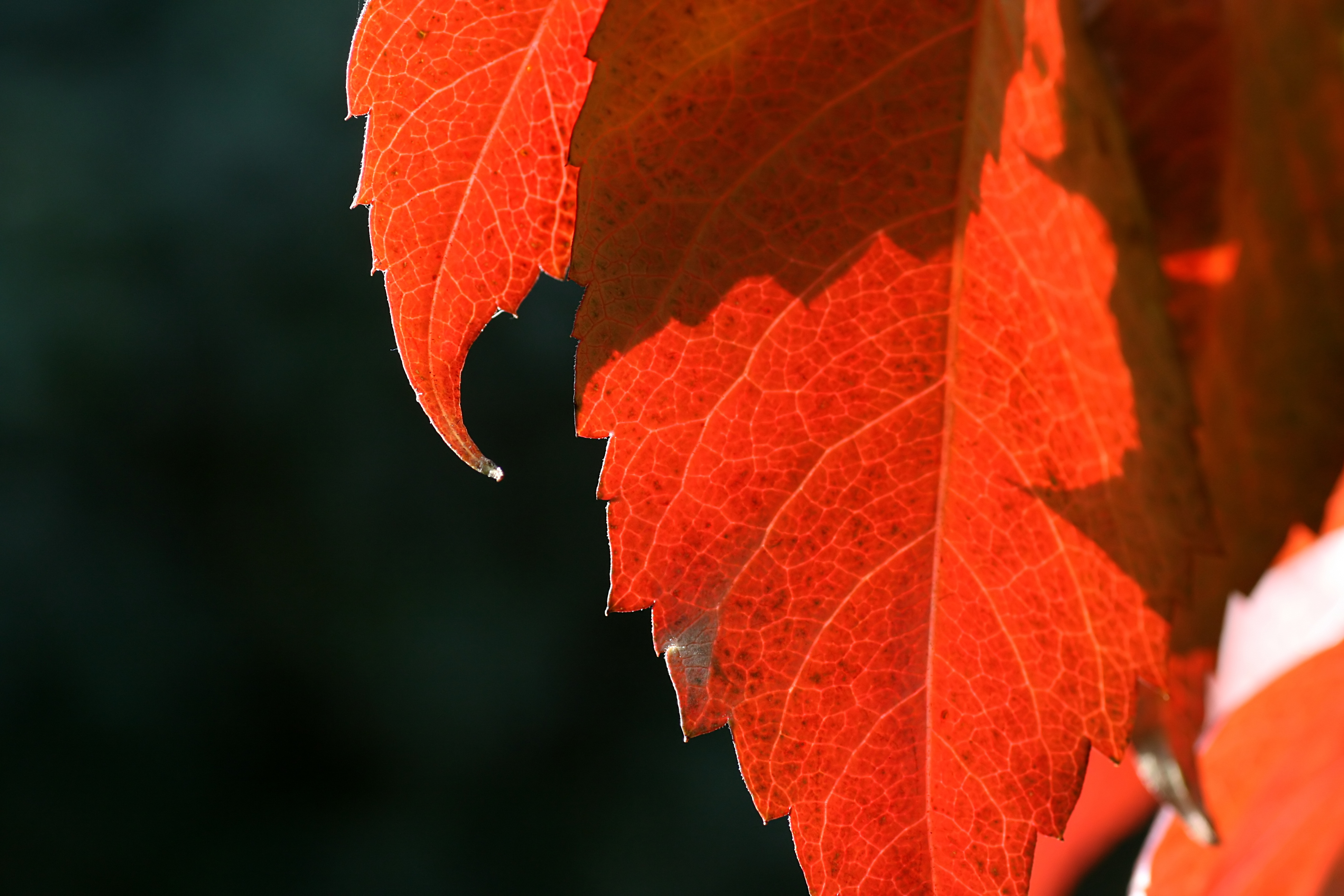 20111028103424.jpg
