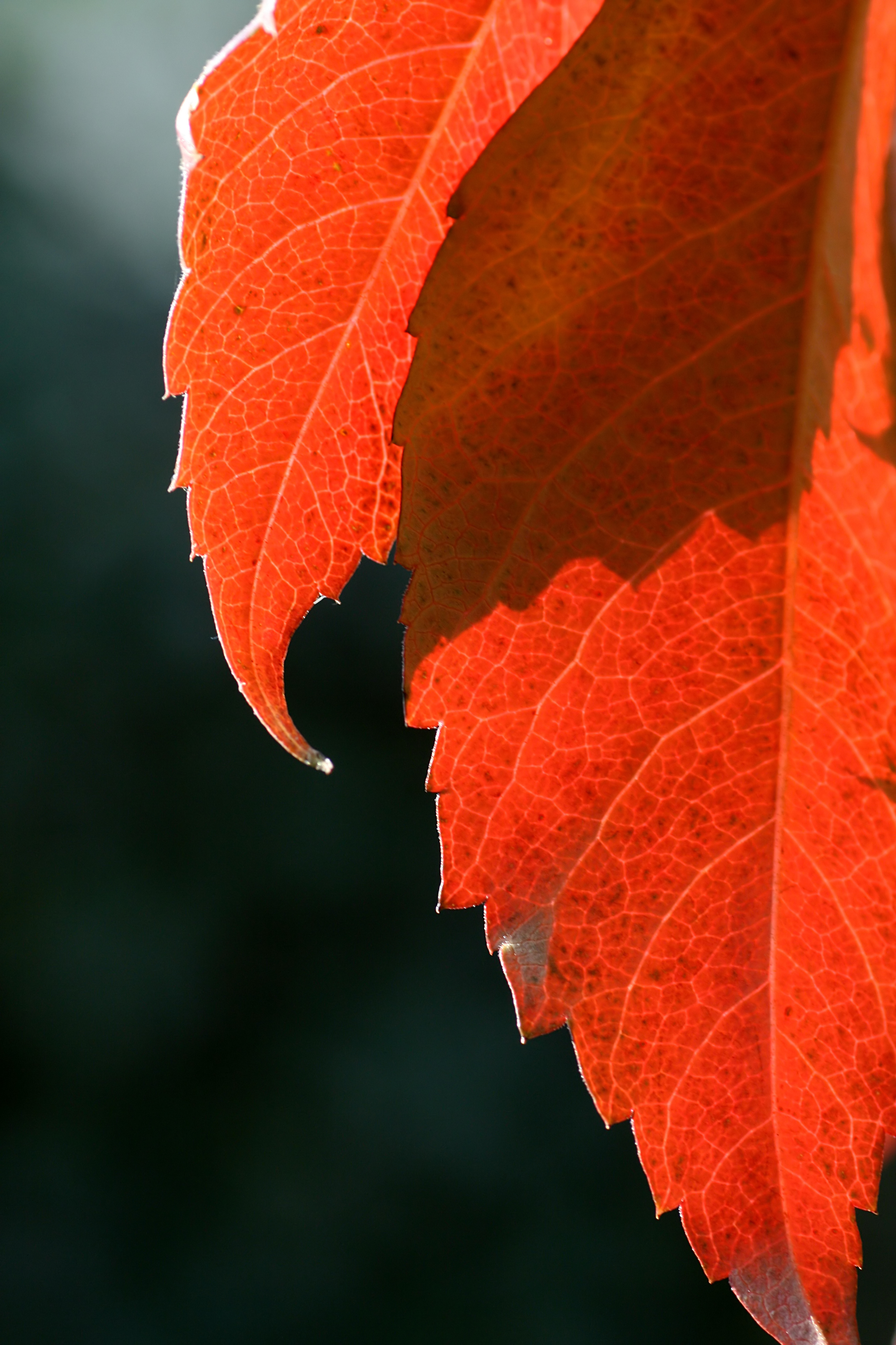 20111028103432.jpg