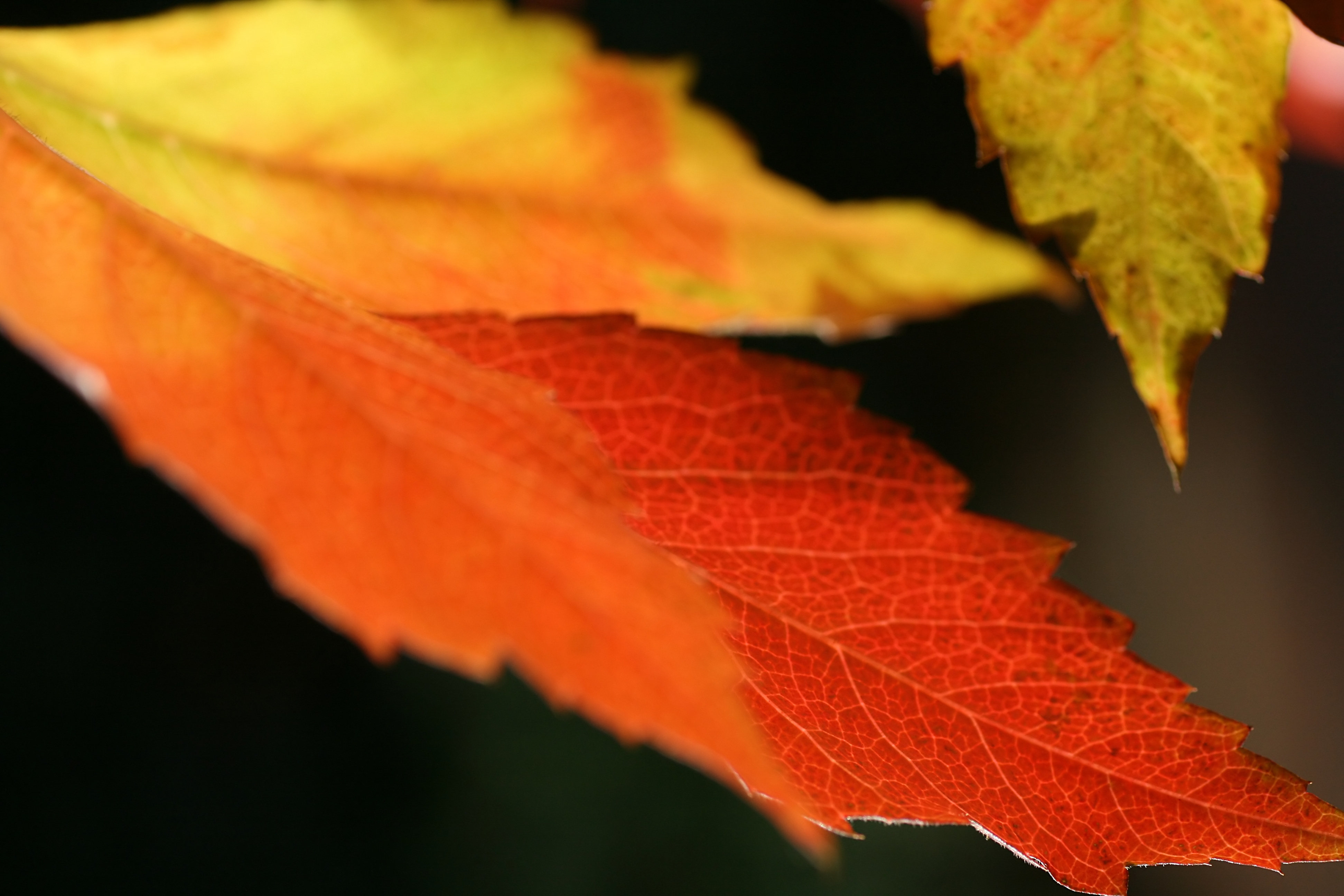 20111028103442.jpg