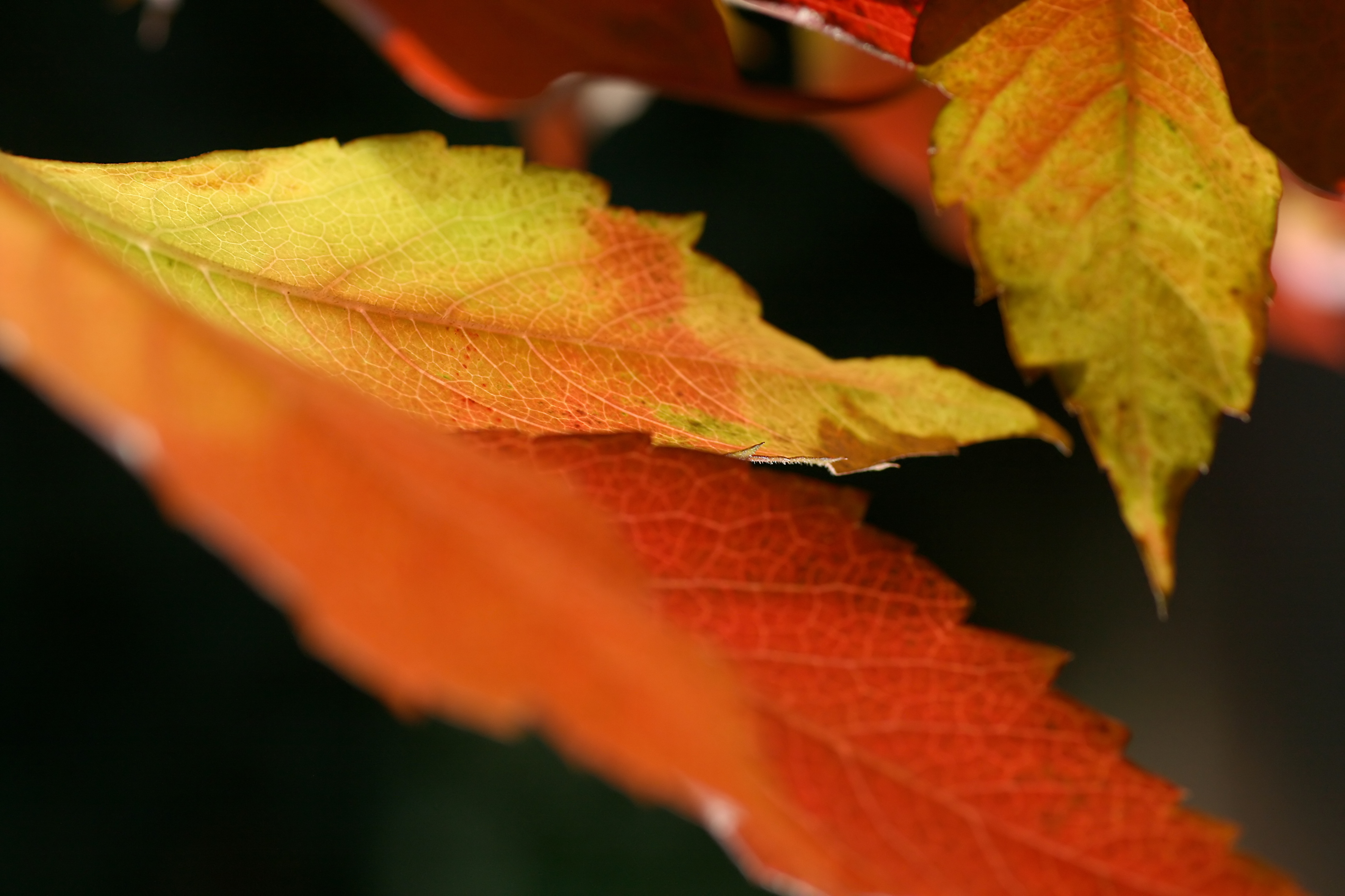 20111028103448.jpg