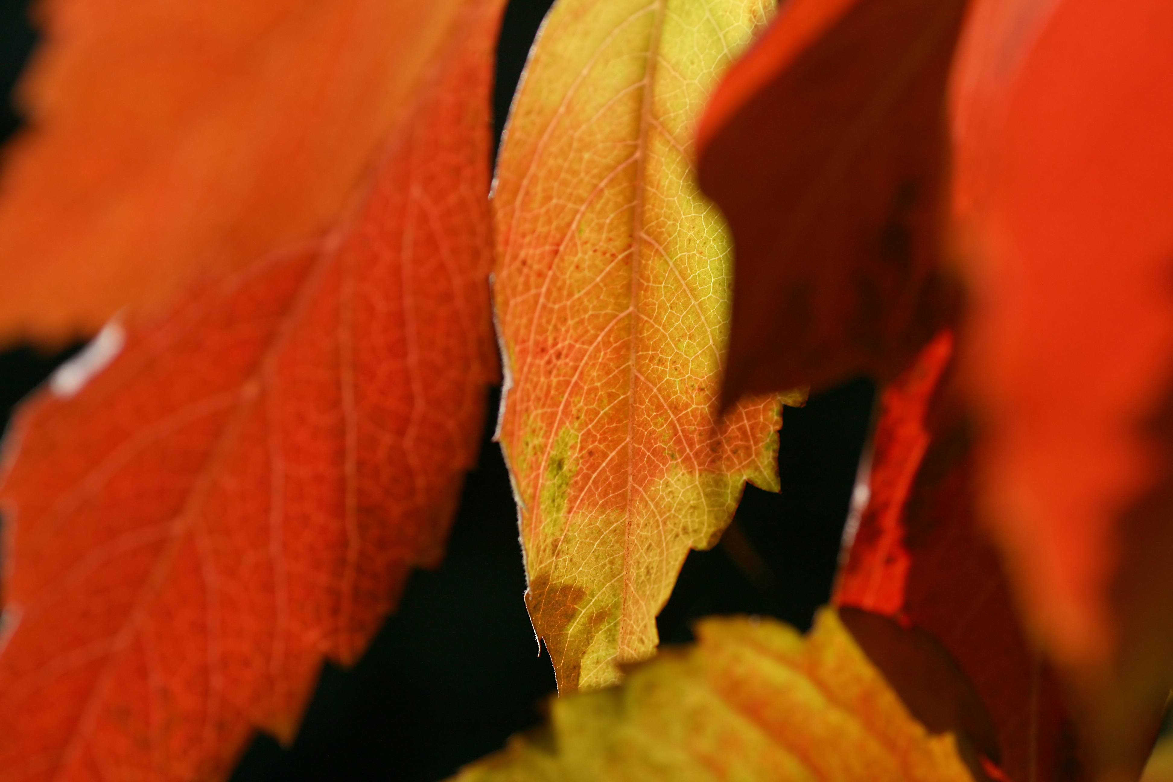 20111028103459.jpg