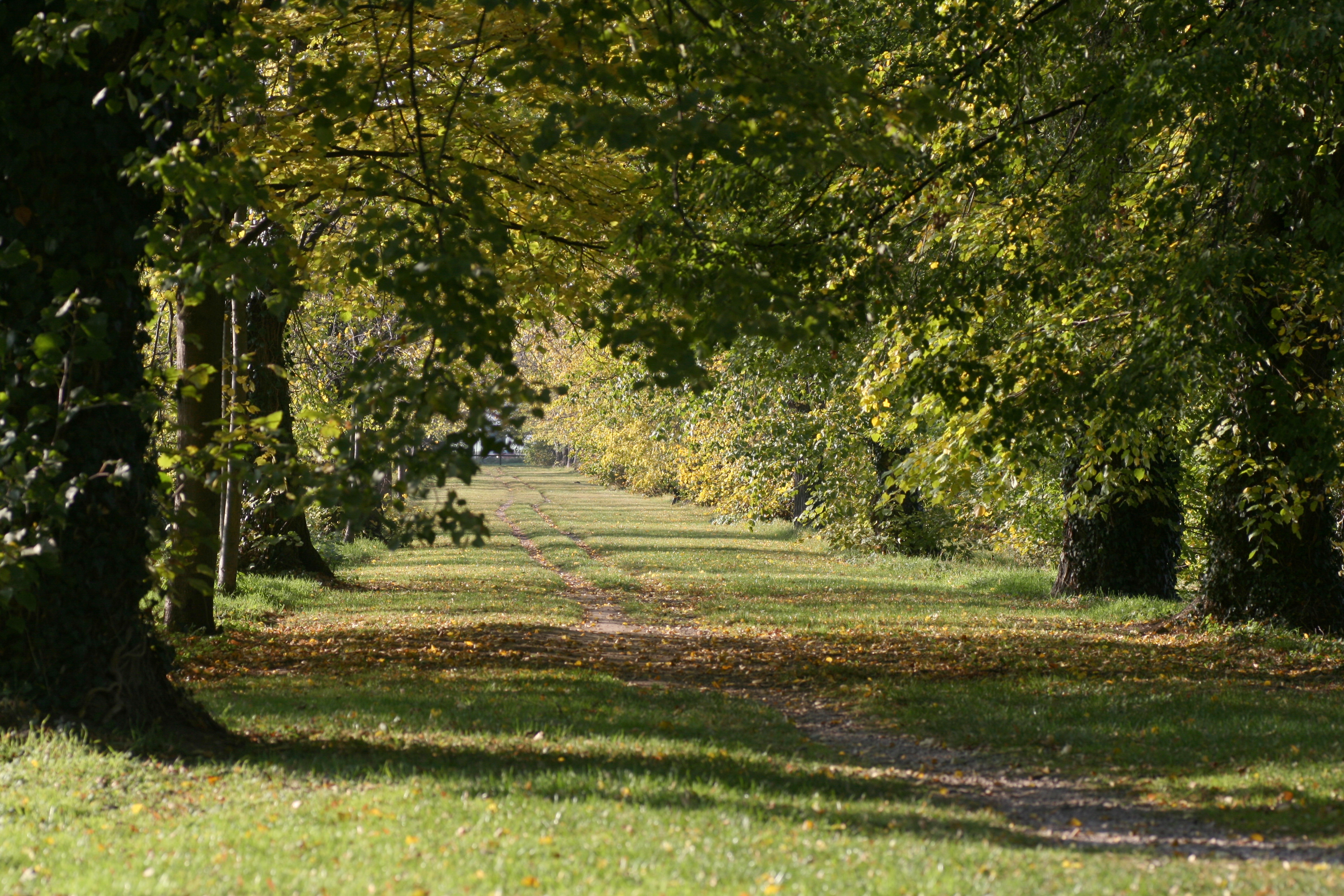 20111028152216.jpg