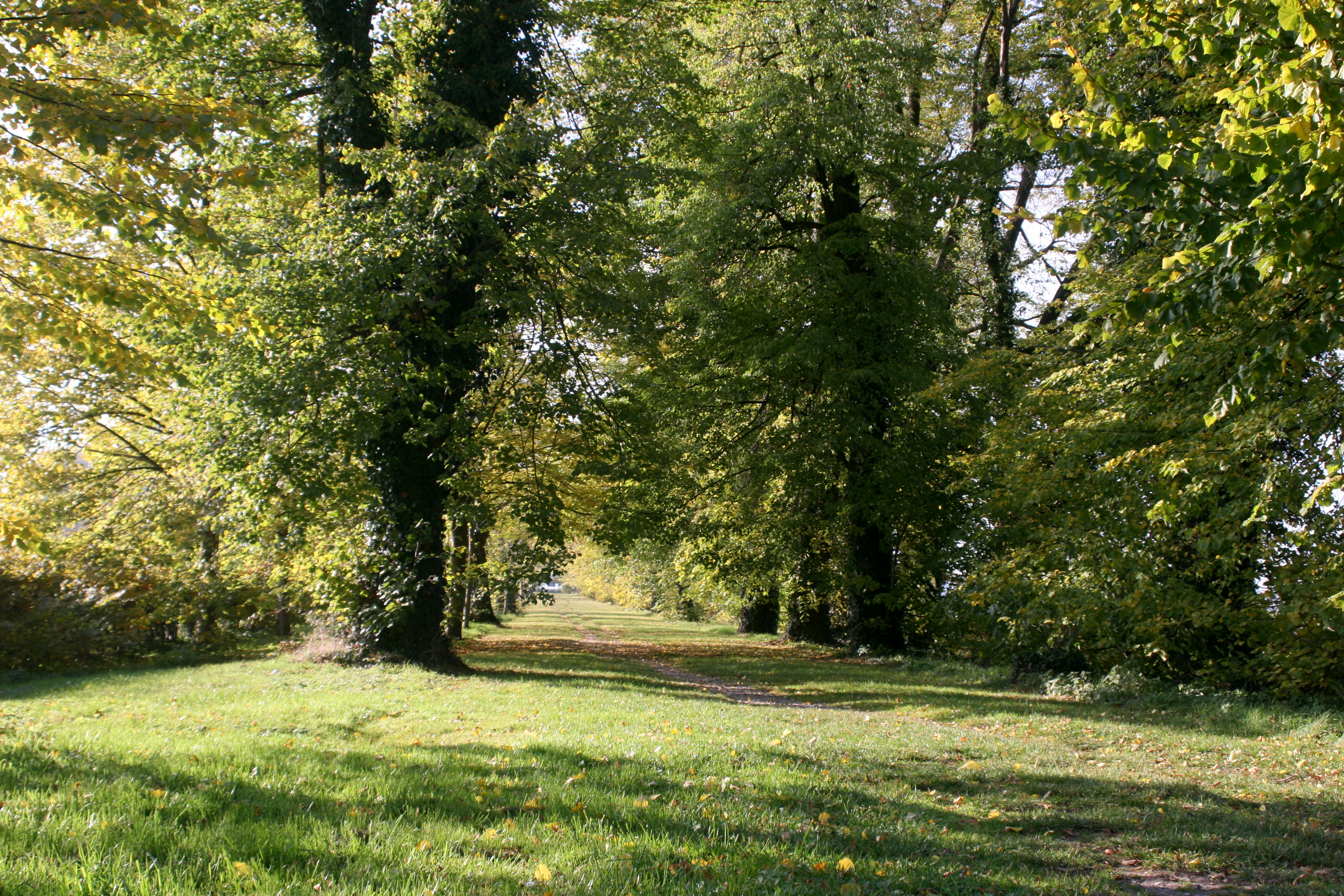20111028152319.jpg