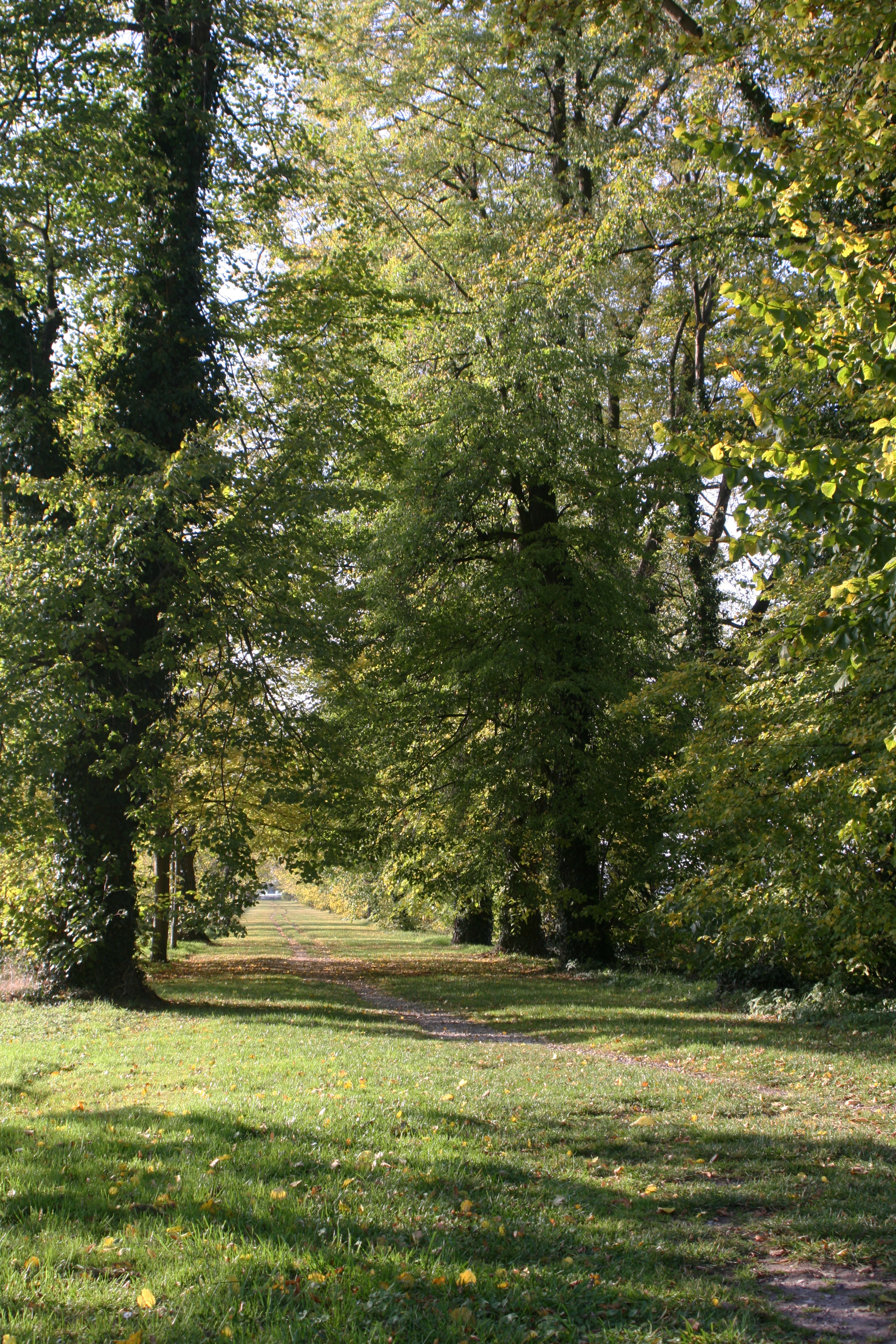 20111028152336.jpg