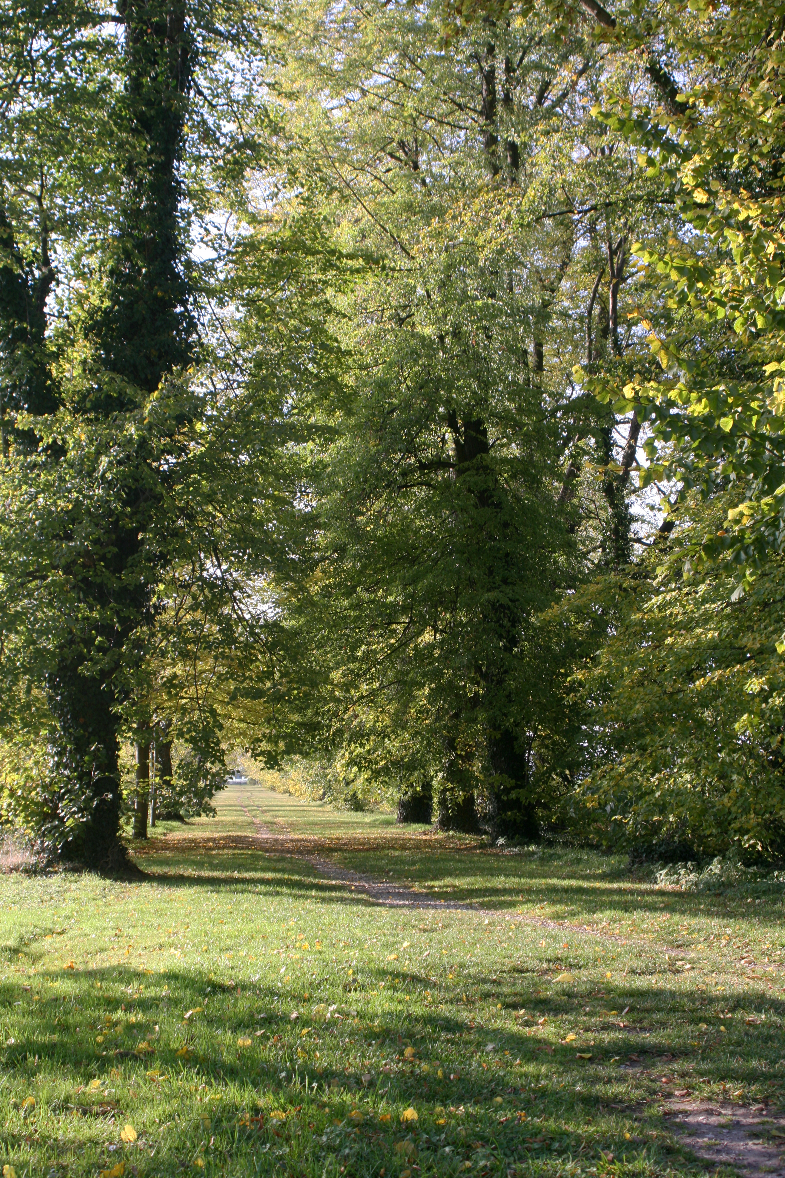 20111028152337.jpg