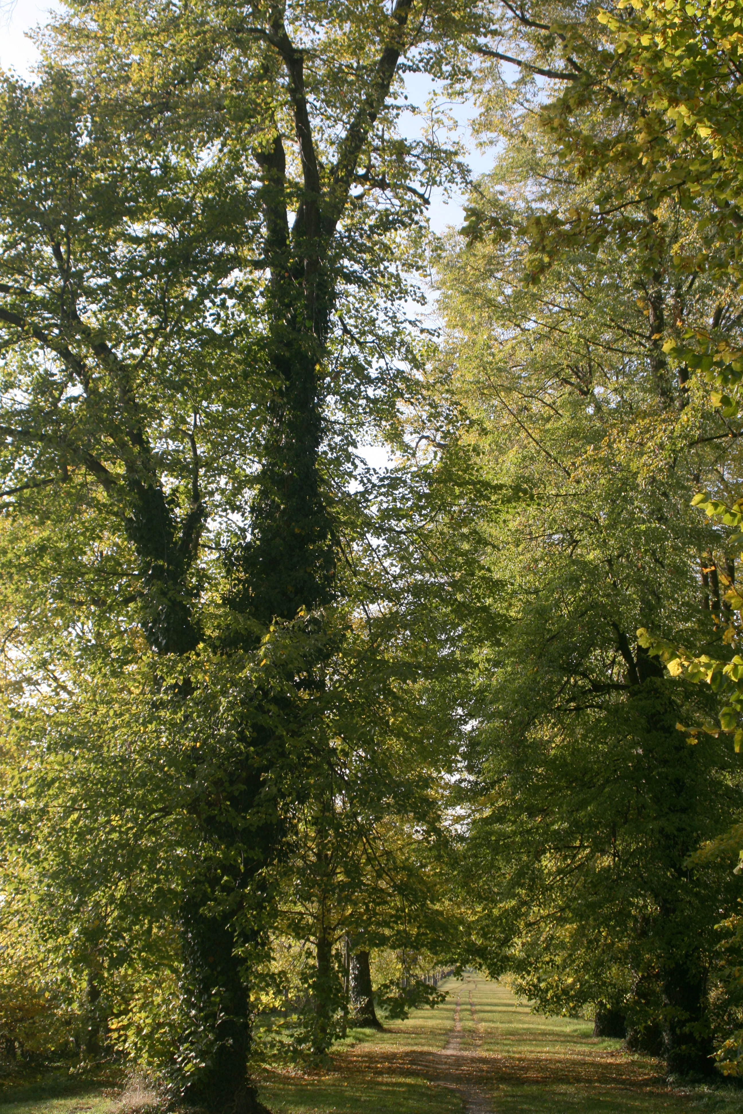 20111028152535.jpg