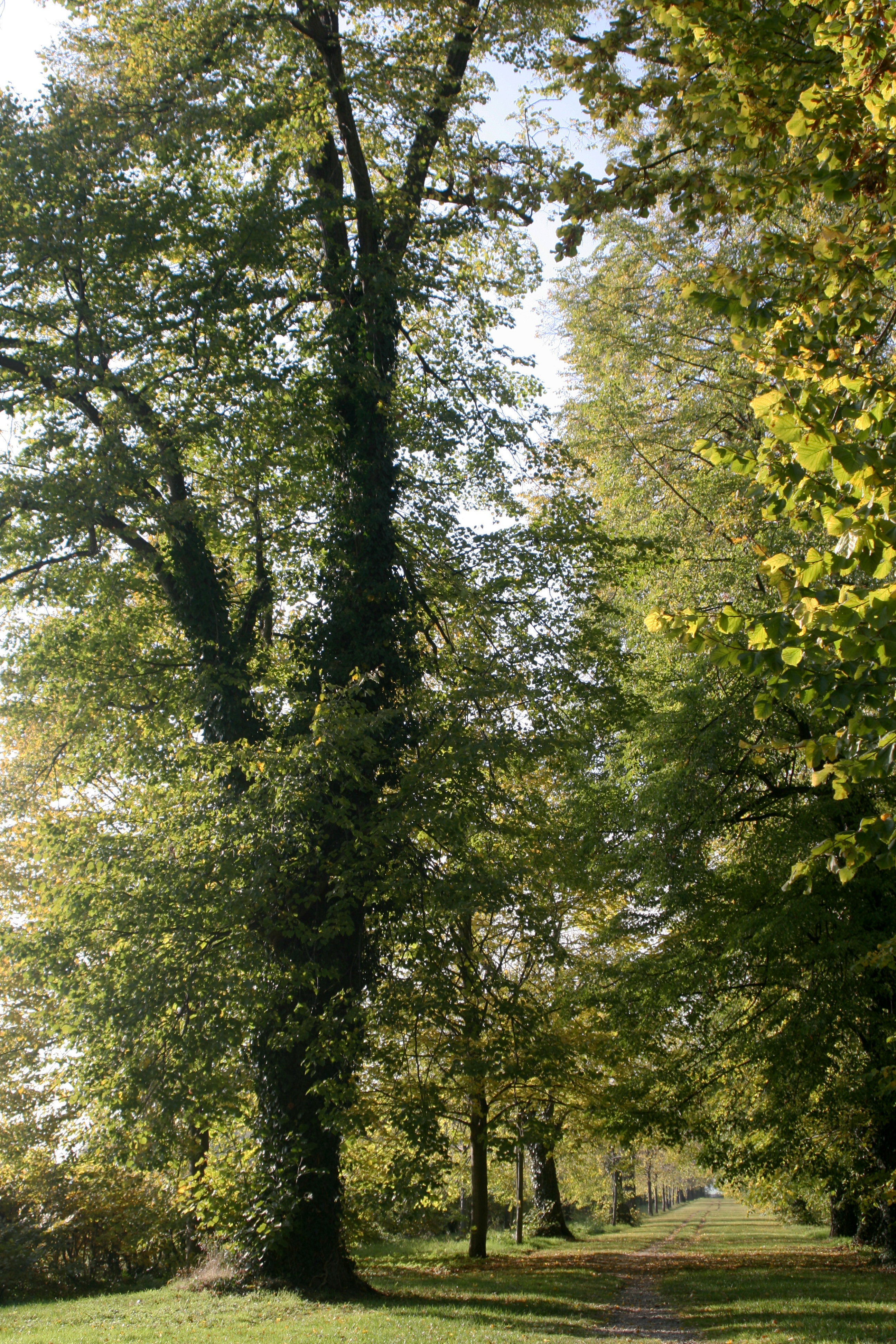 20111028152553.jpg