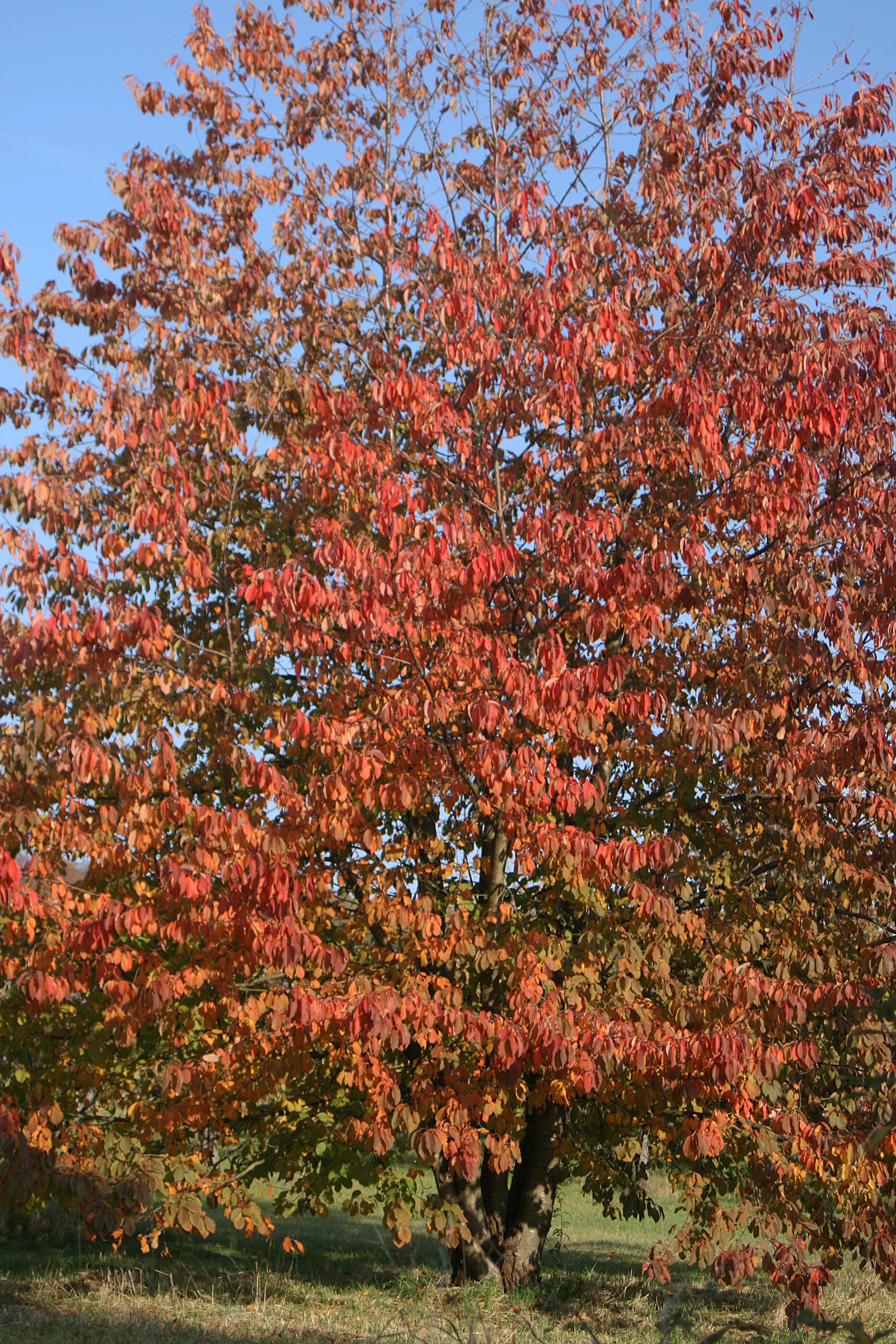 20111028154124.jpg