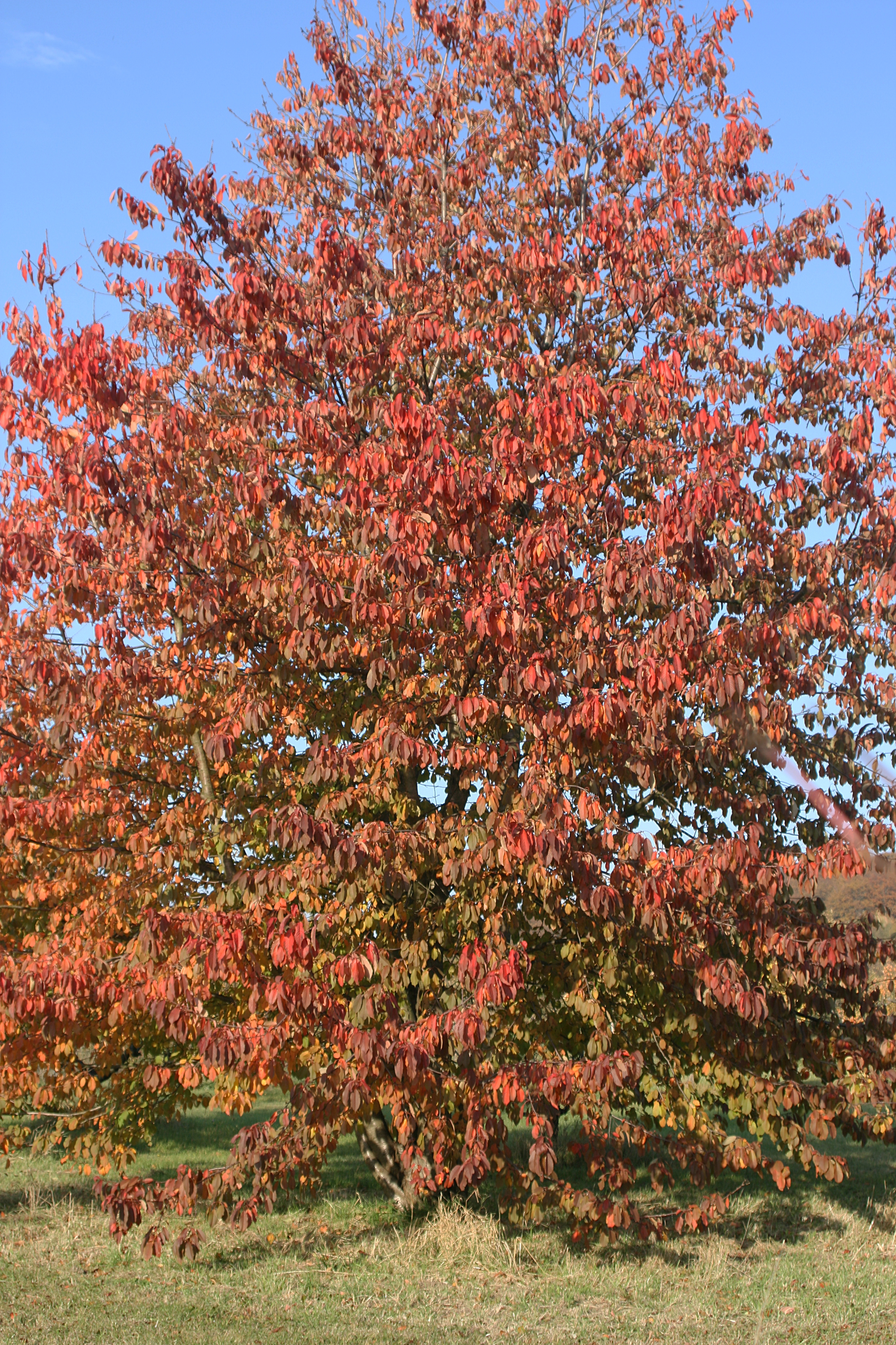 20111028154147.jpg