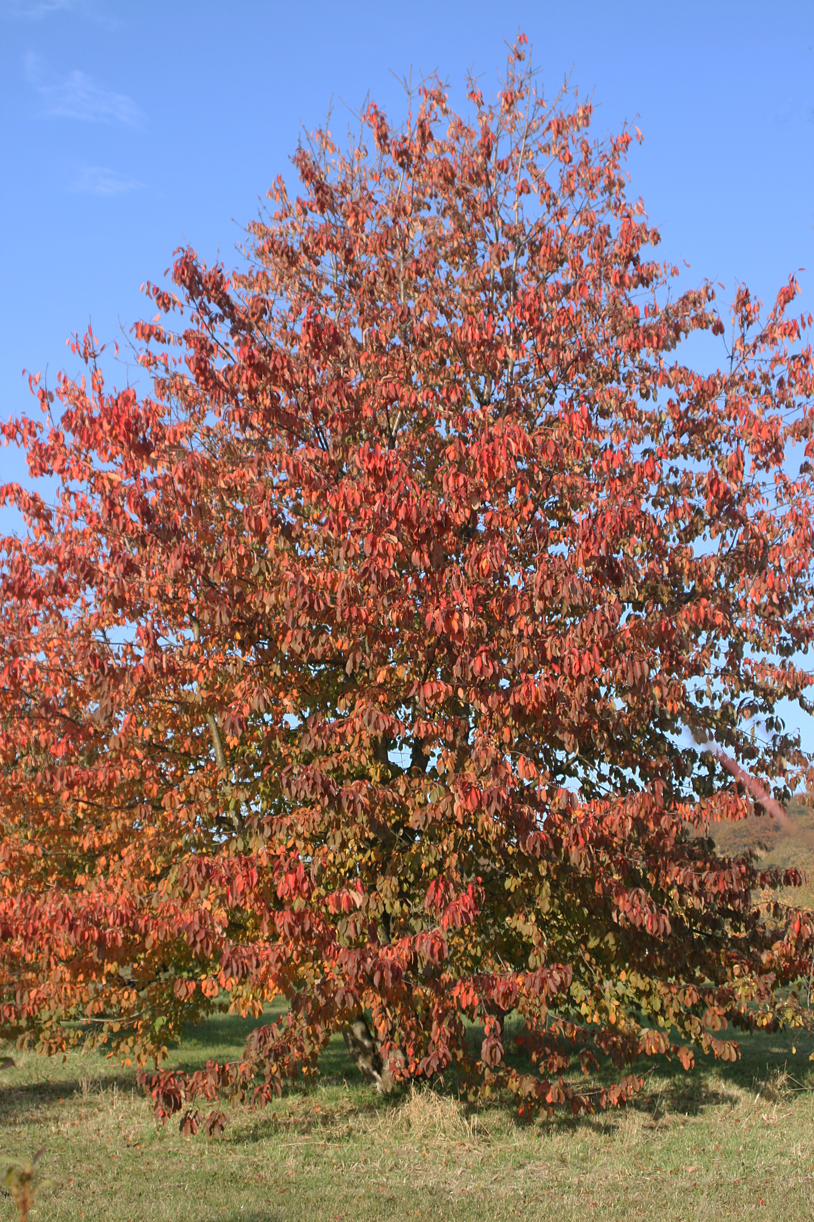 20111028154157.jpg