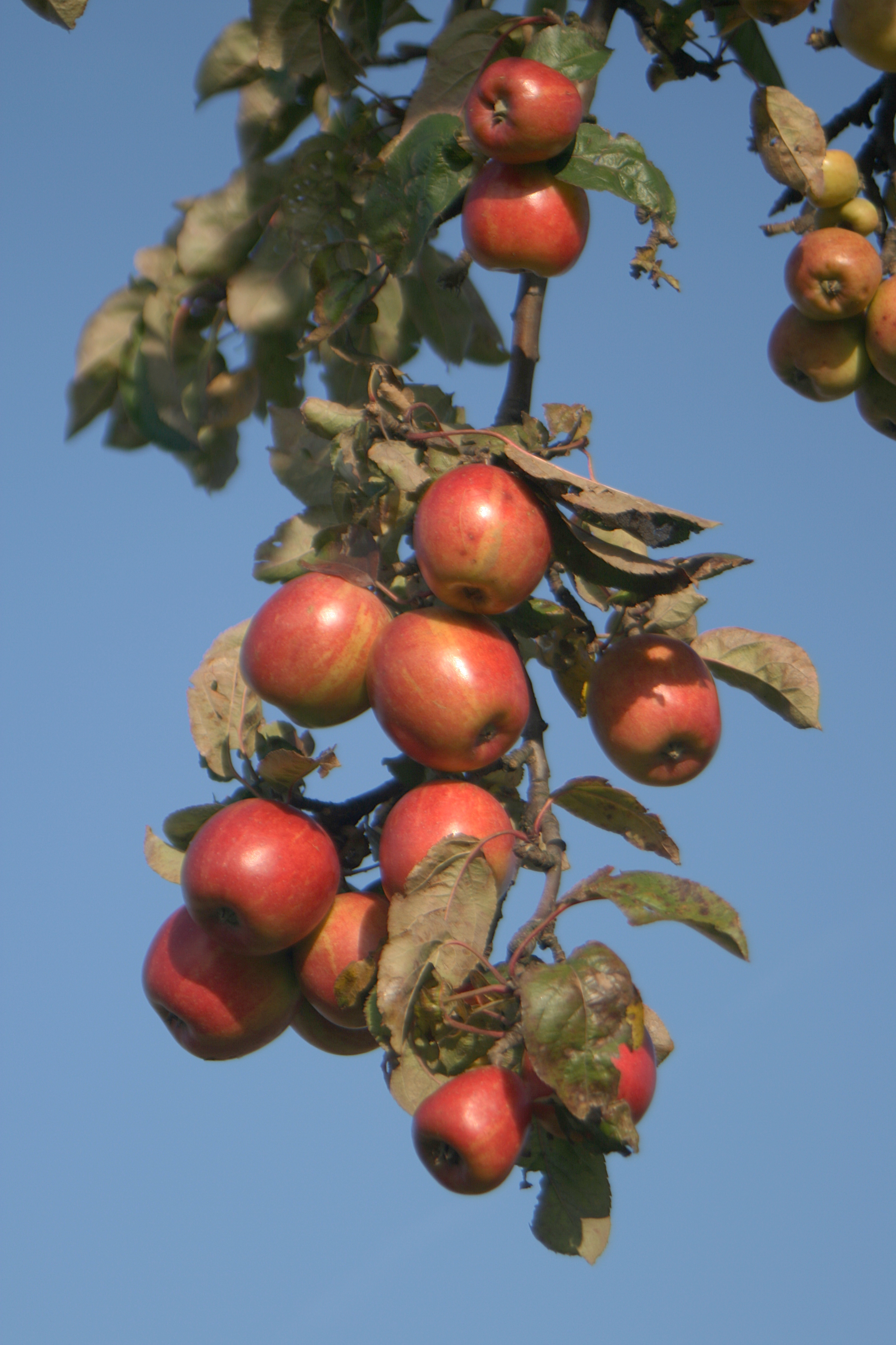 20111028154926.jpg