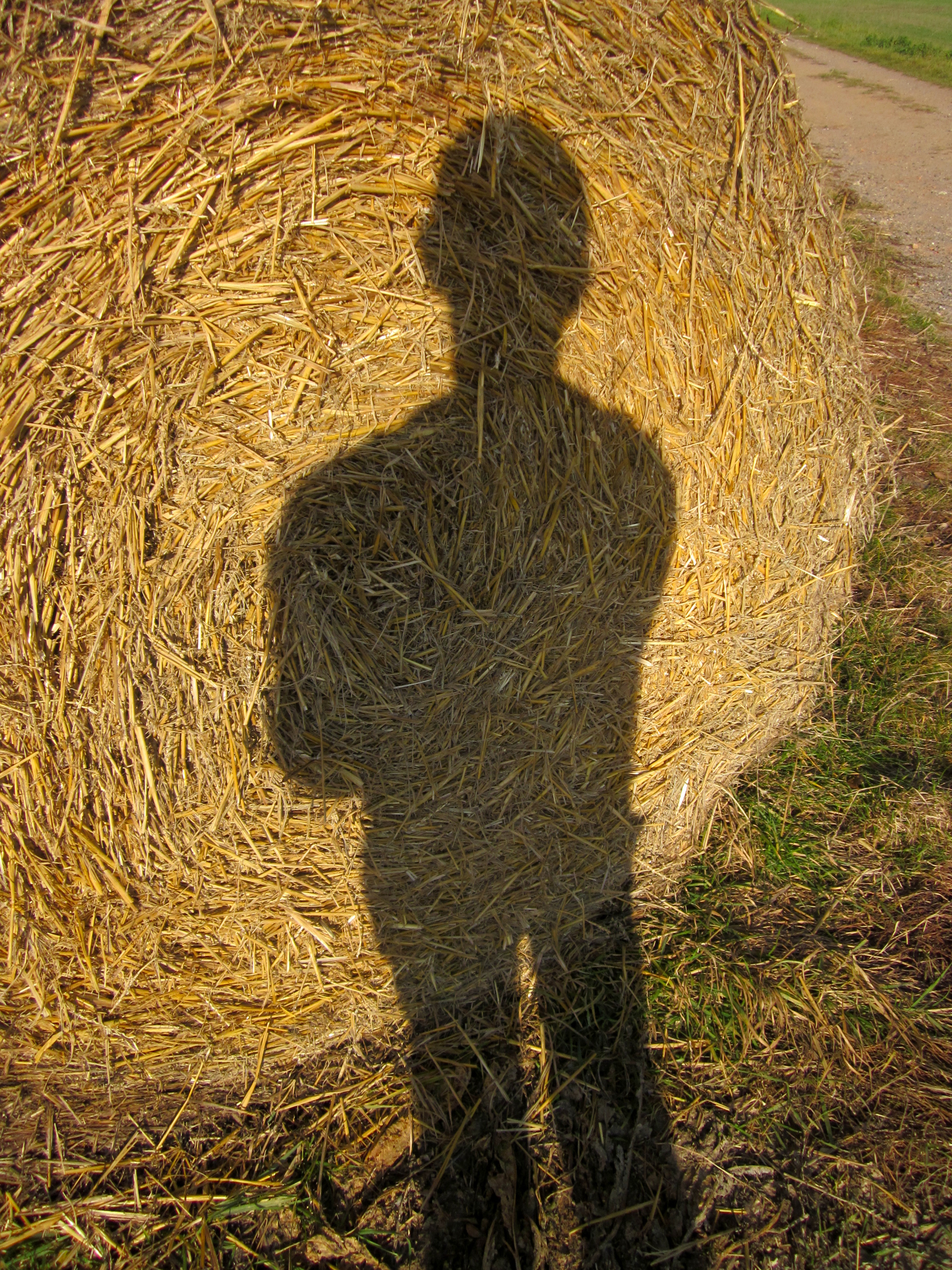 20111029151530.jpg