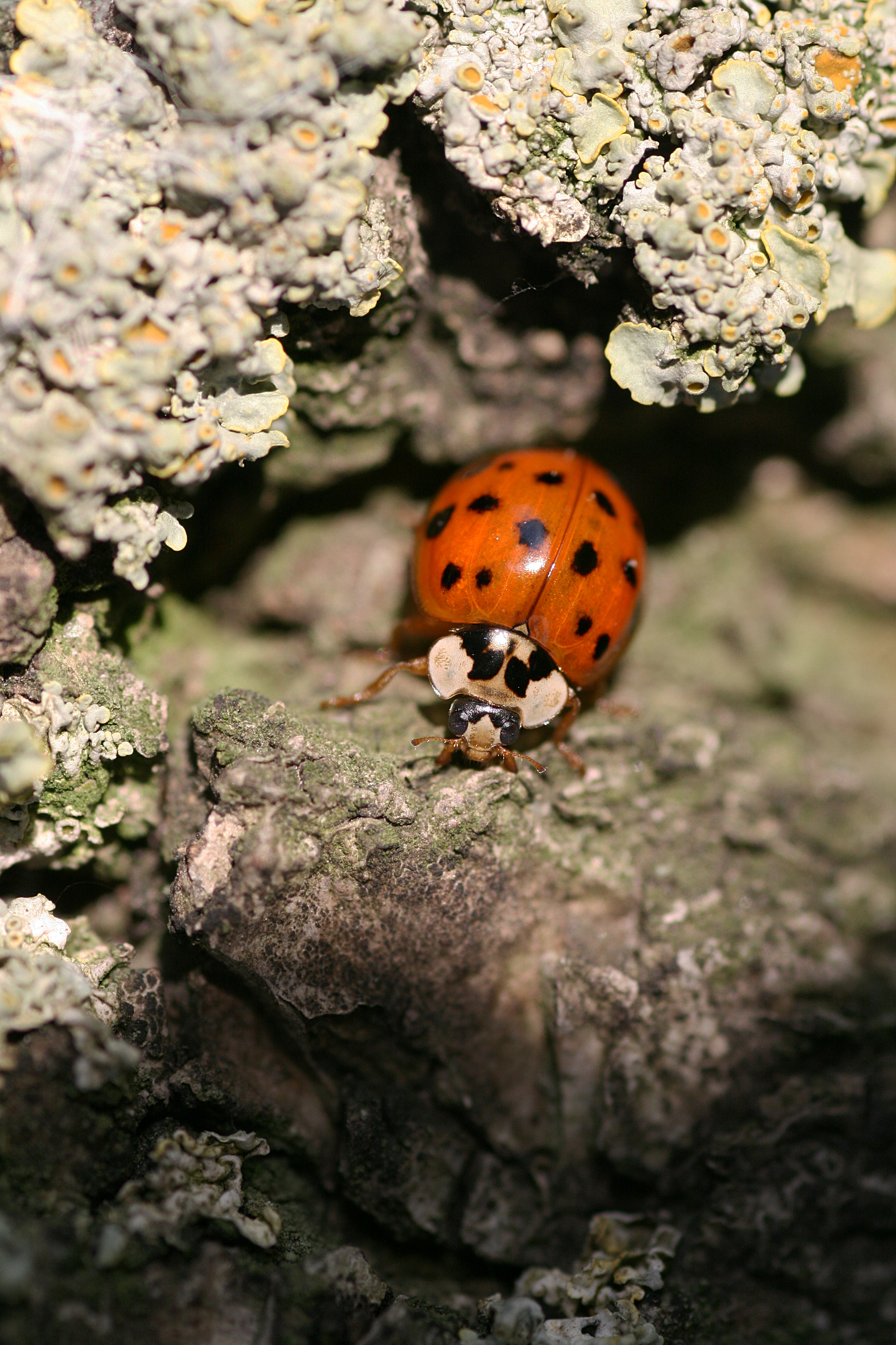 20111029152938.jpg