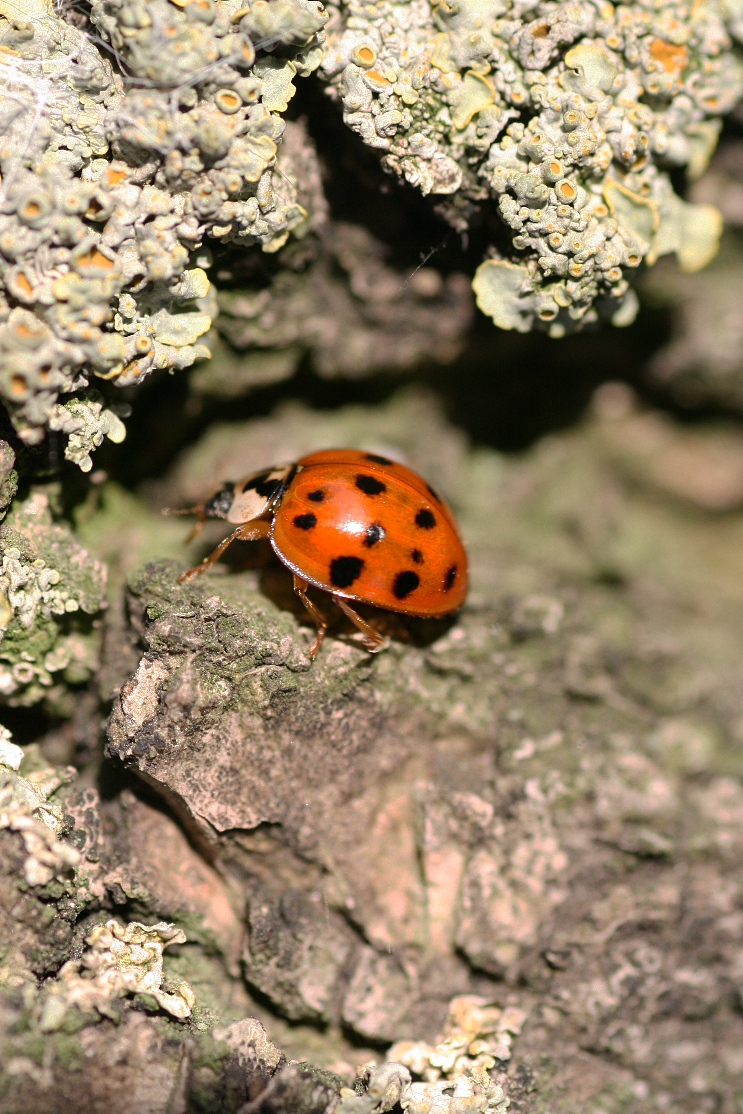 20111029152941.jpg