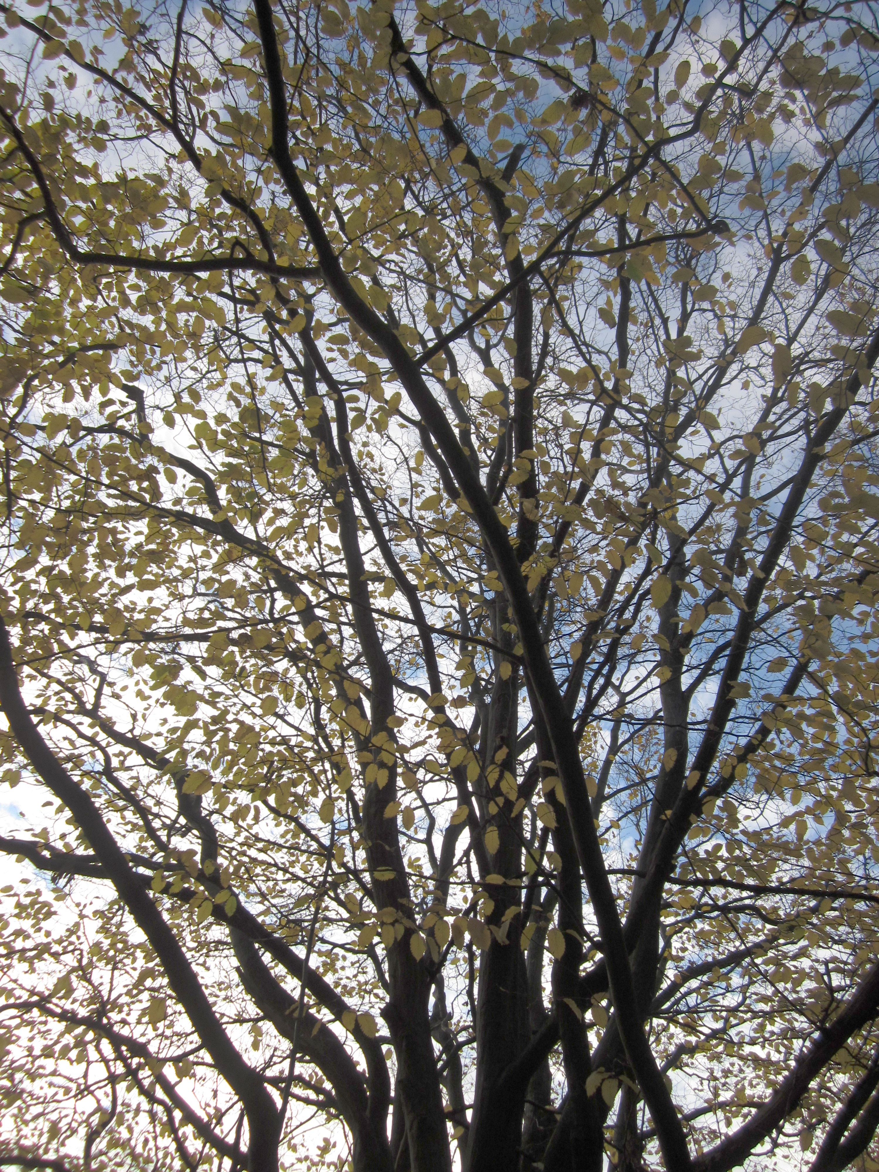 20111029160816.jpg