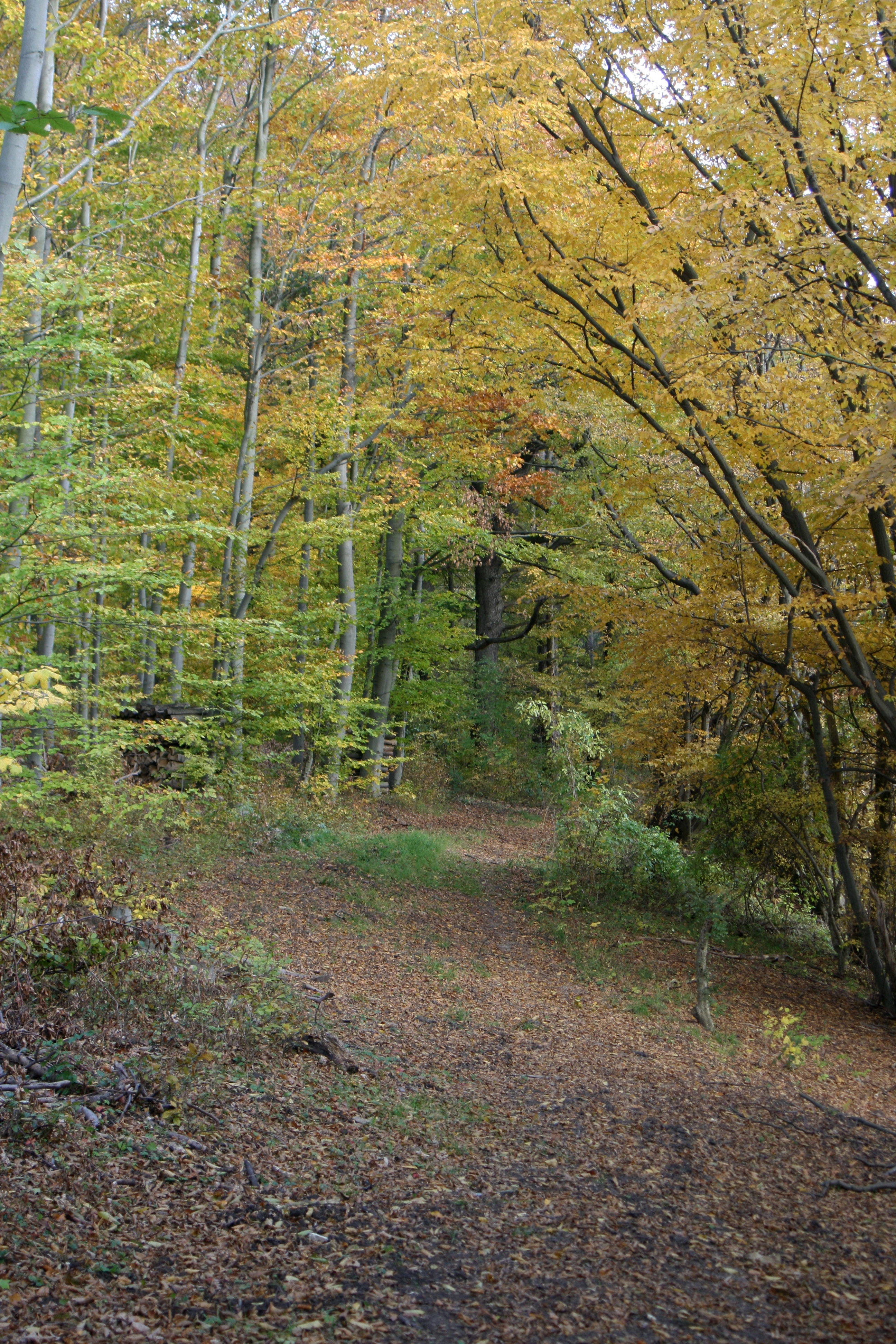 20111029161124.jpg
