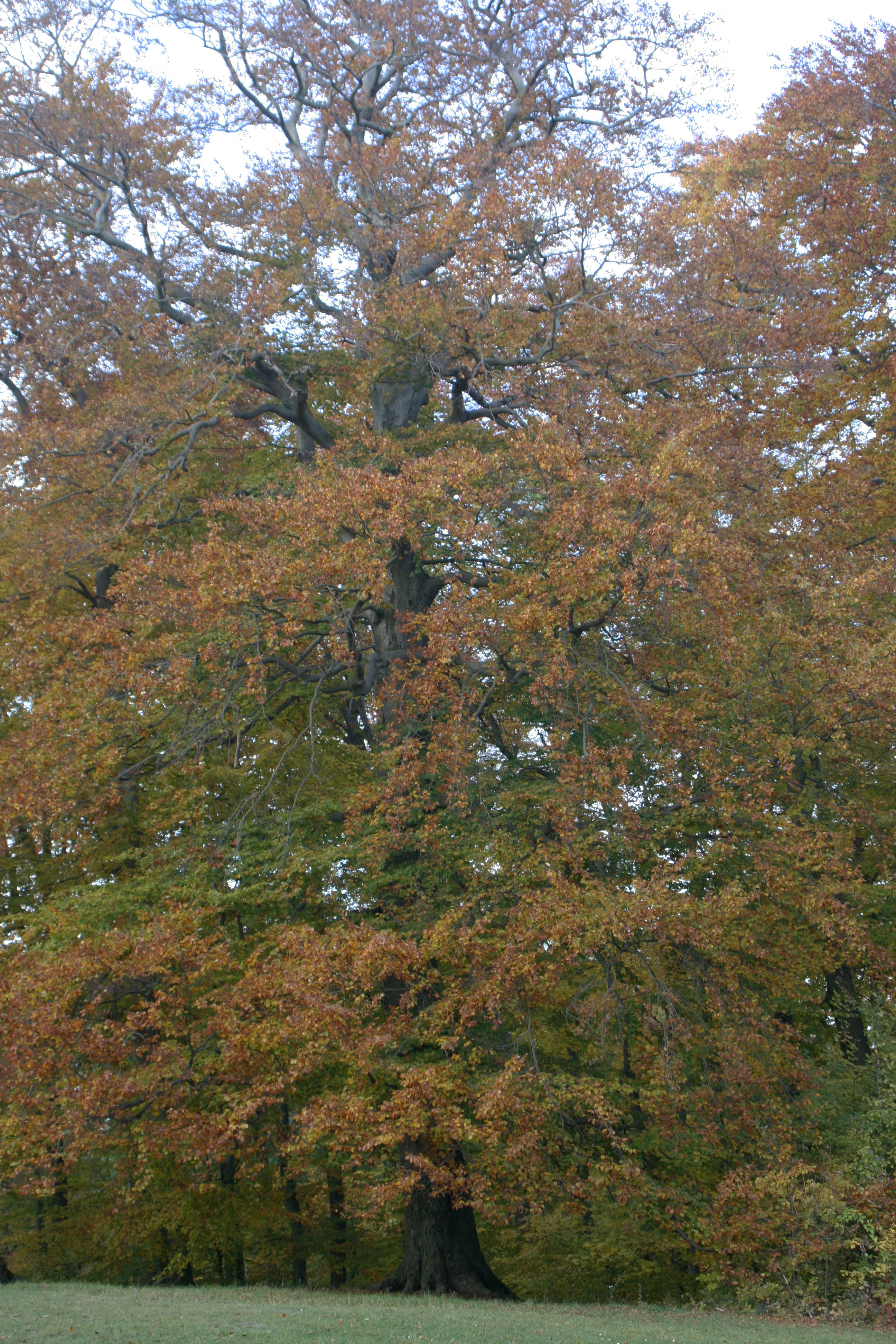 20111029162032.jpg