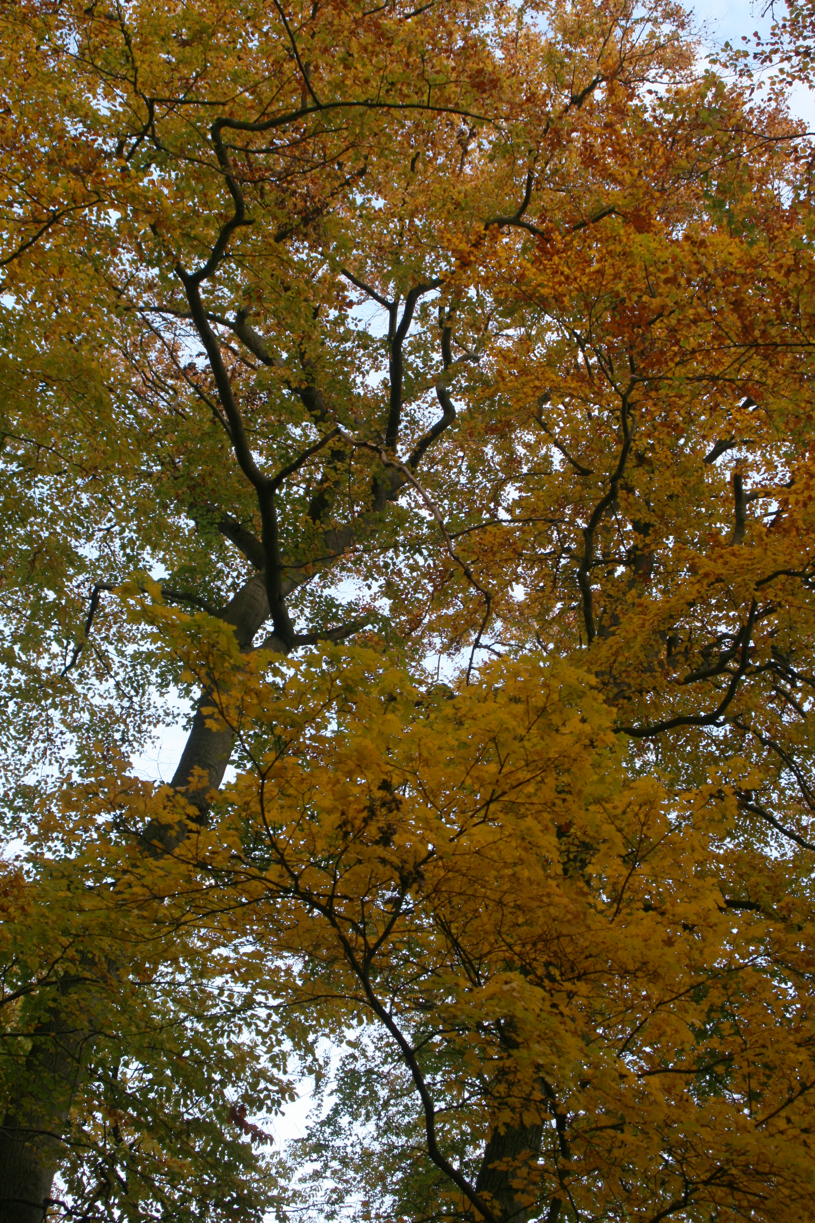 20111029162708.jpg