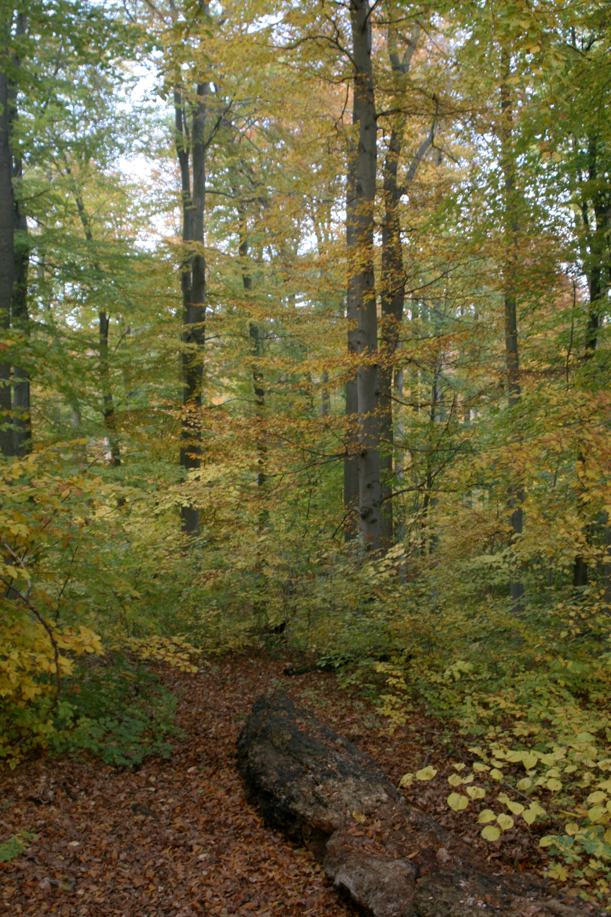 20111029162742.jpg