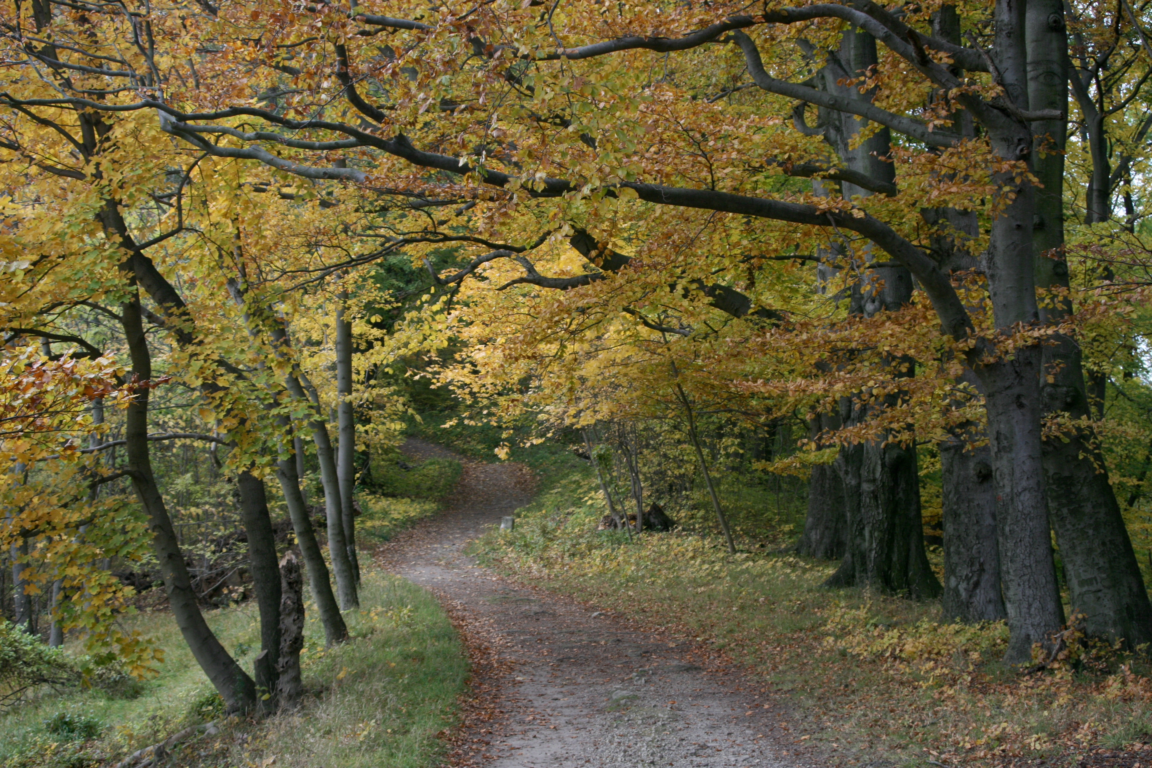 20111029163412.jpg
