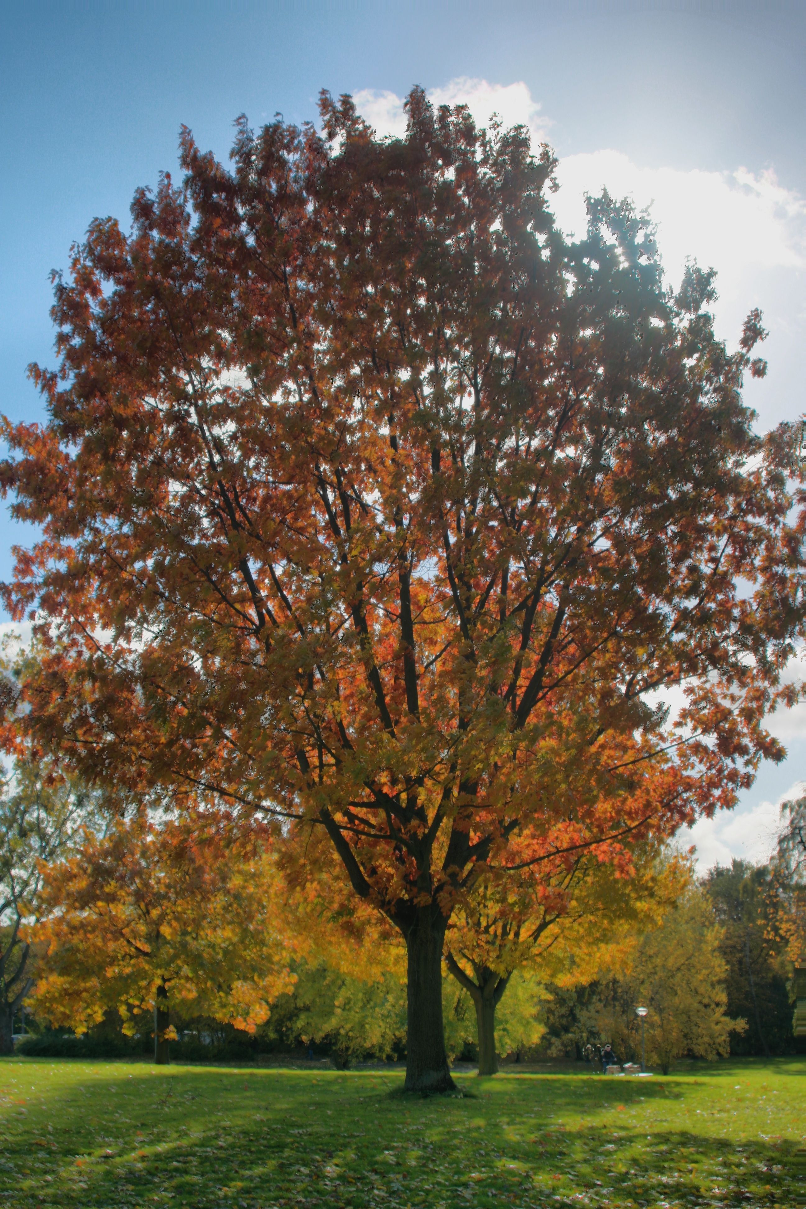 20121027000000-14.jpg