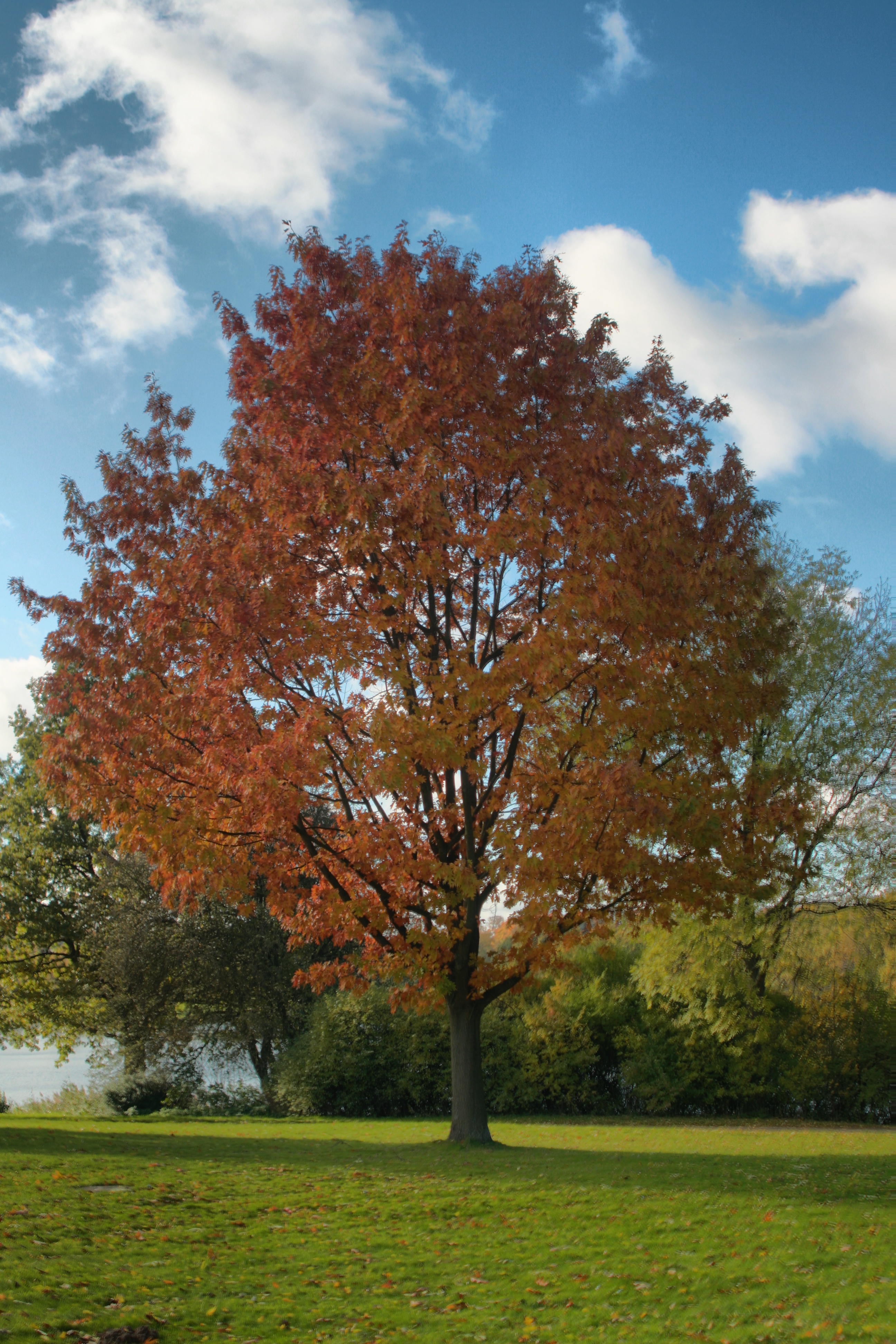 20121027000000-5.jpg