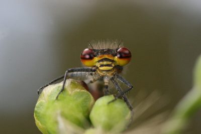 20080520172510.jpg