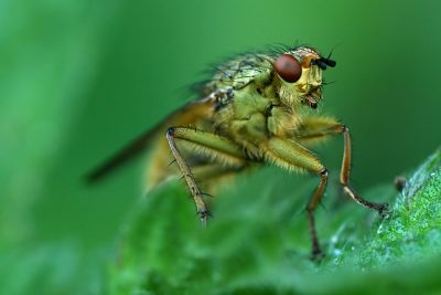 20080610052803.jpg