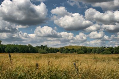 20080720184900-2.jpg