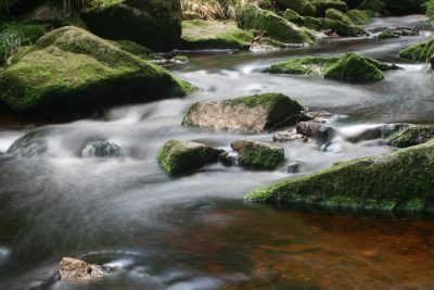 20080809190050.jpg