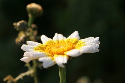 20090402090347.jpg