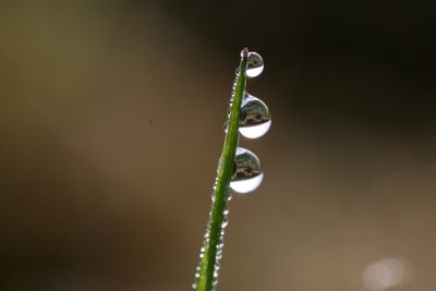 20111028101150.jpg